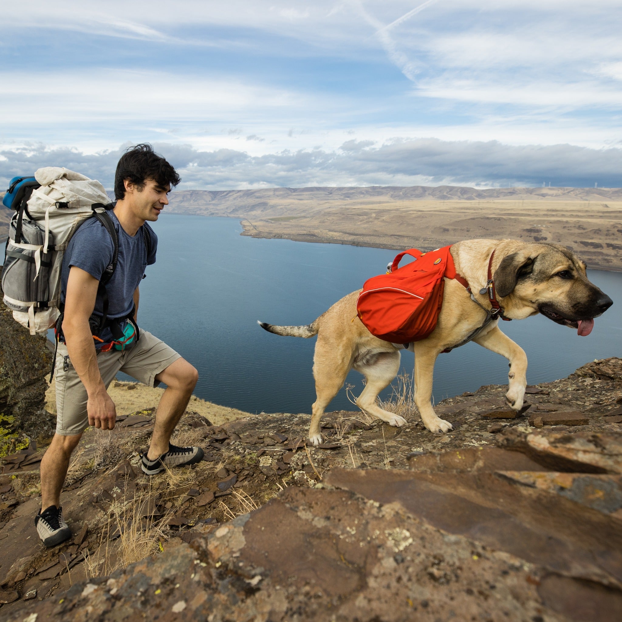 Ruffwear Palisades™ Pack, Hunderucksack mit abnehmbaren Taschen - Woofshack