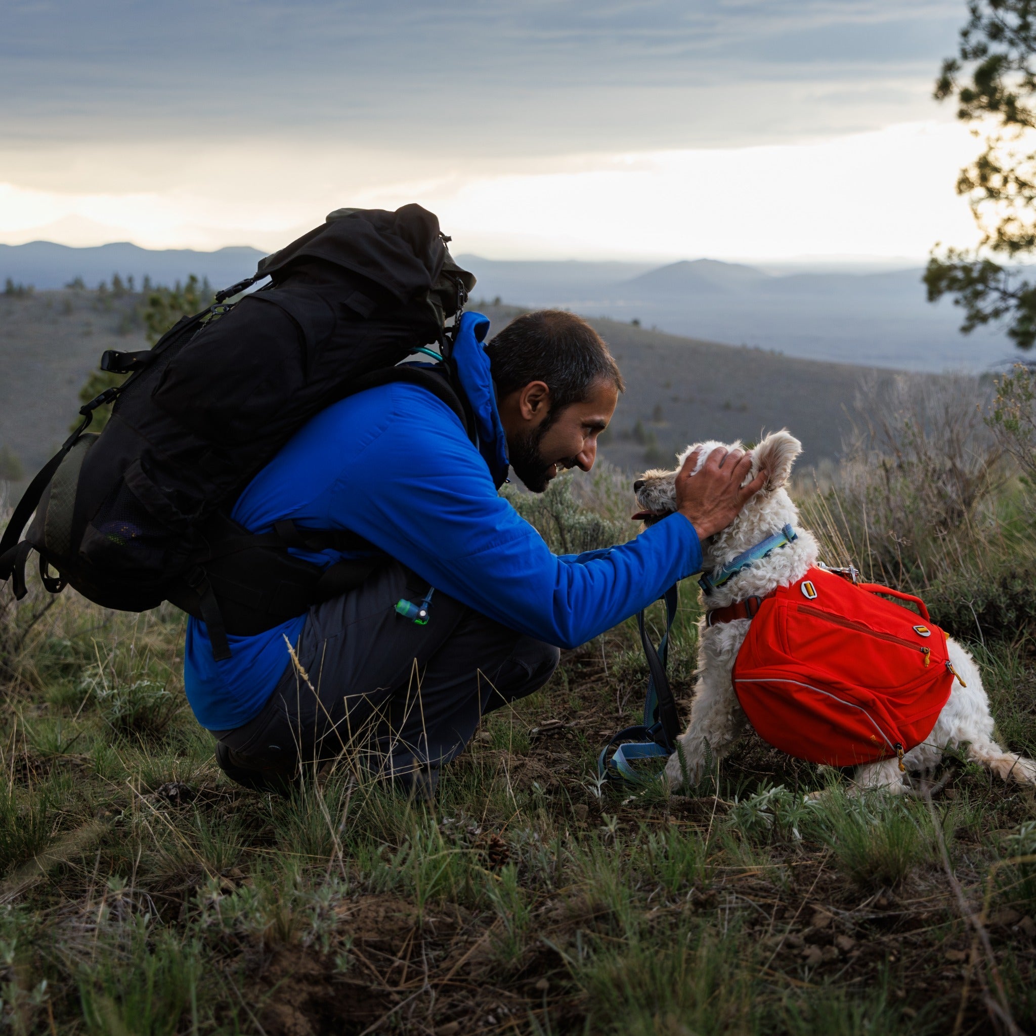 Ruffwear Palisades™ Pack, Hunderucksack mit abnehmbaren Taschen - Woofshack