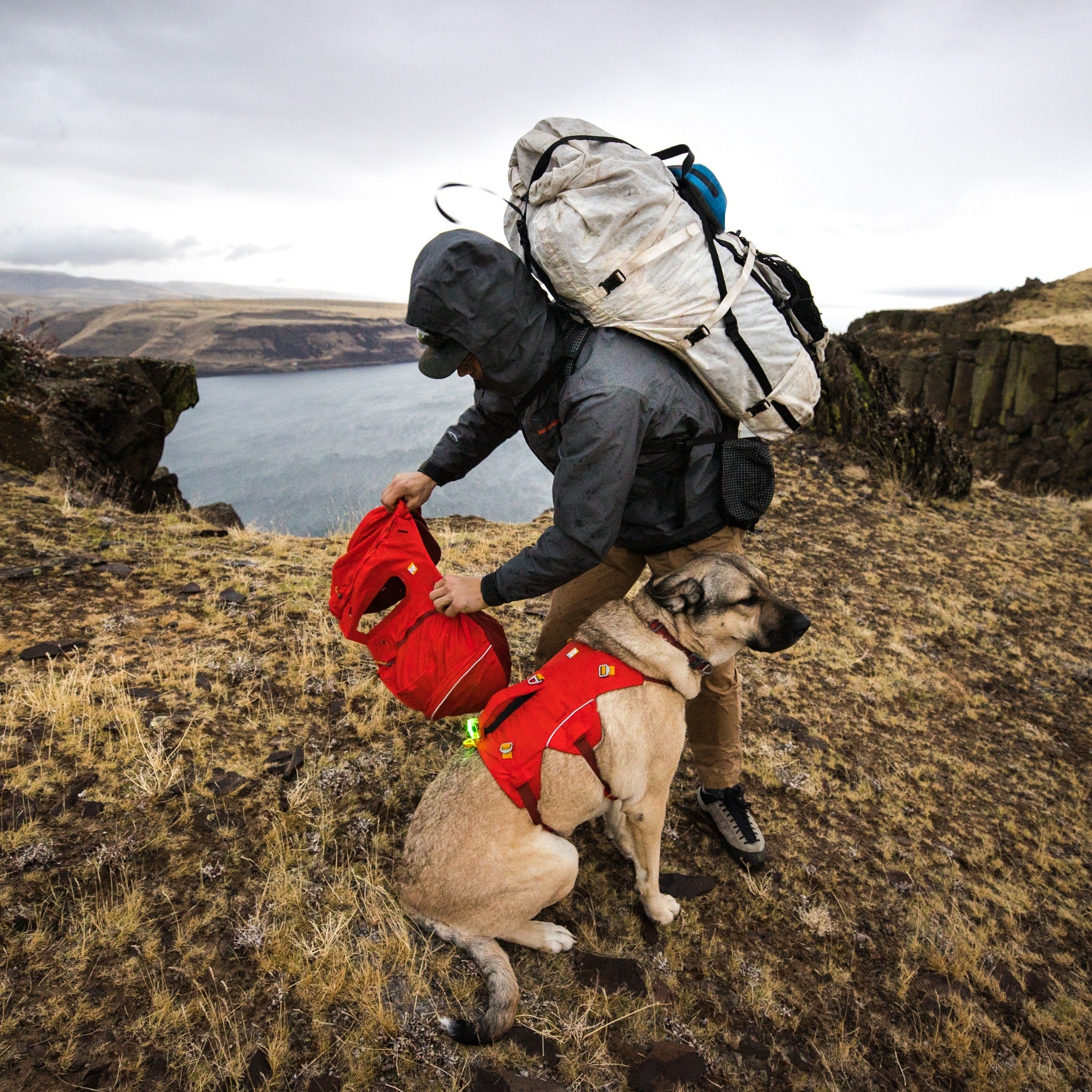 Ruffwear Palisades™ Pack, Hunderucksack mit abnehmbaren Taschen - Woofshack