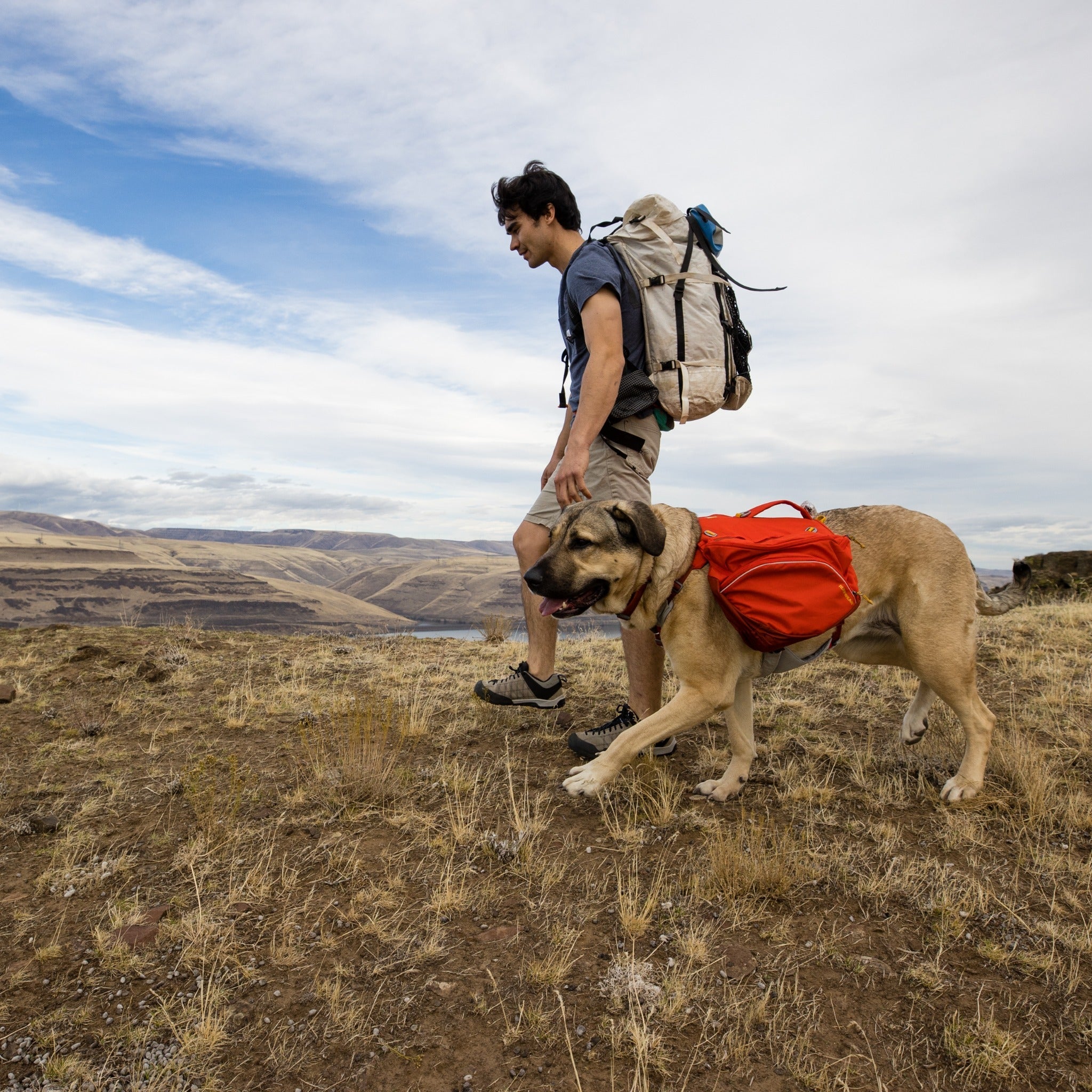 Ruffwear Palisades™ Pack, Hunderucksack mit abnehmbaren Taschen - Woofshack