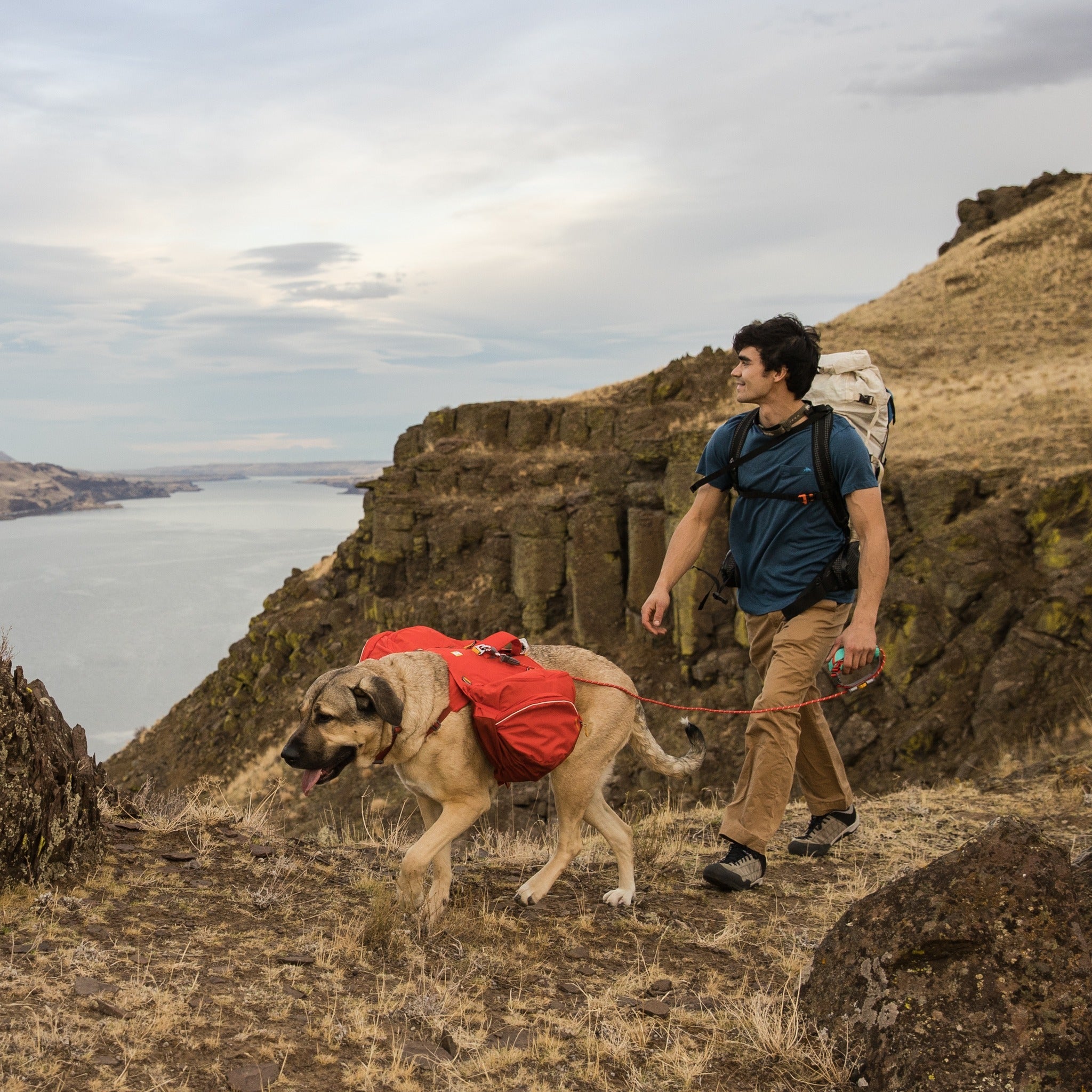 Ruffwear Palisades™ Pack, Hunderucksack mit abnehmbaren Taschen - Woofshack