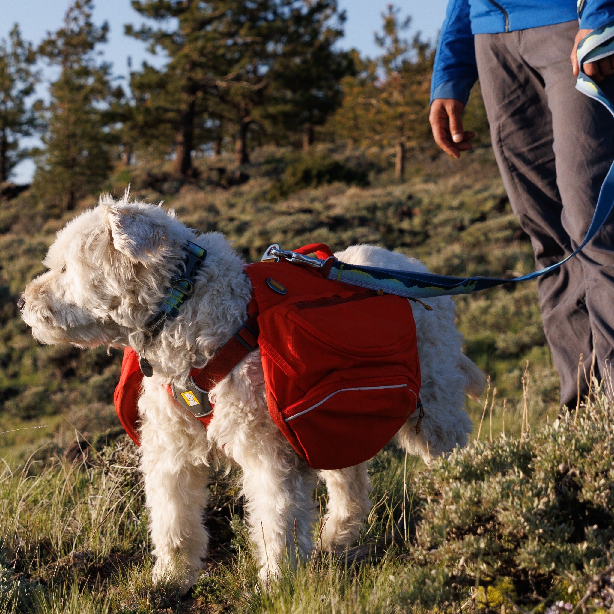 Ruffwear Palisades™ Pack, Hunderucksack mit abnehmbaren Taschen - Woofshack