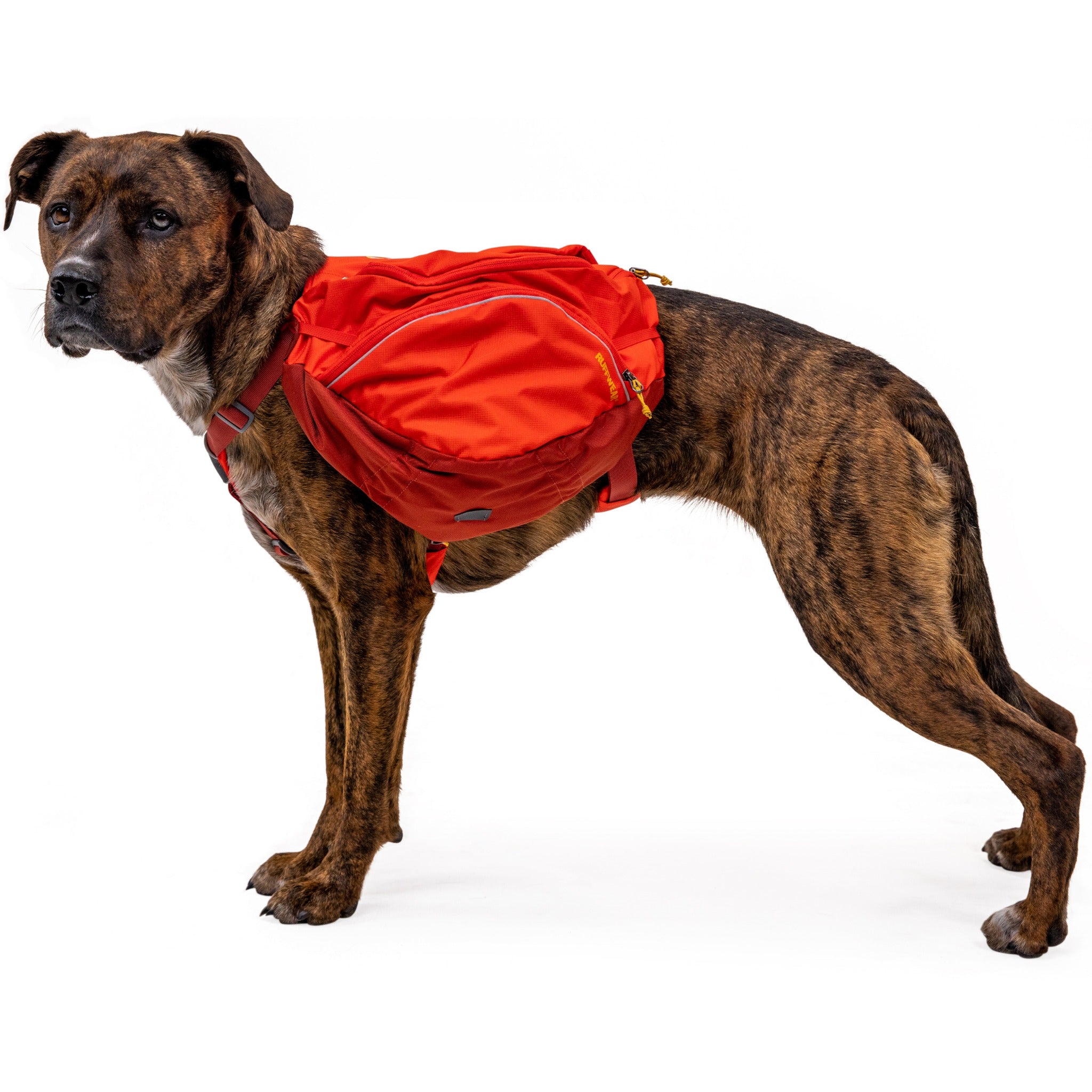 Ruffwear Palisades™ Pack, Hunderucksack mit abnehmbaren Taschen - Woofshack