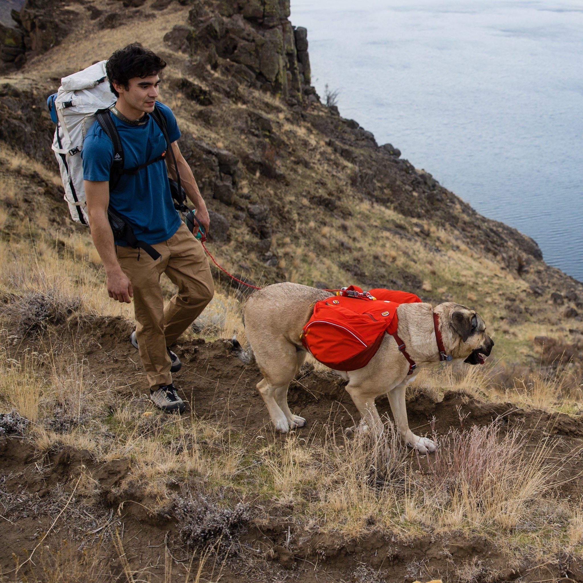 Ruffwear Palisades™ Pack, Hunderucksack mit abnehmbaren Taschen - Woofshack