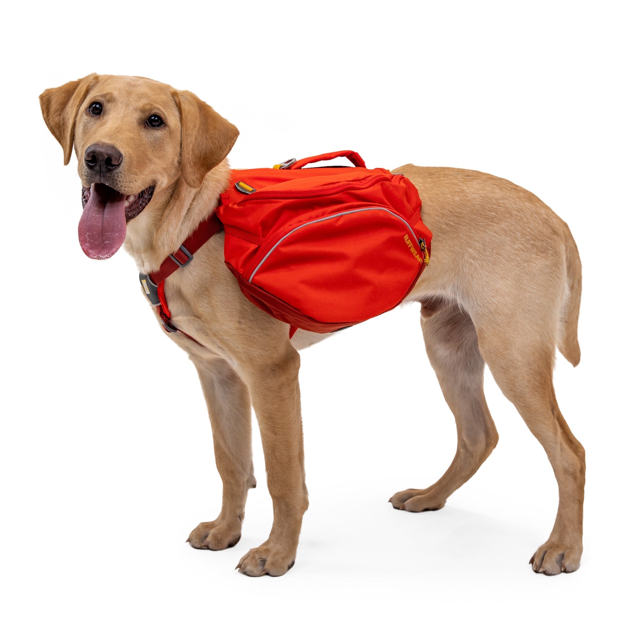 Ruffwear Palisades™ Pack, Hunderucksack mit abnehmbaren Taschen - Woofshack