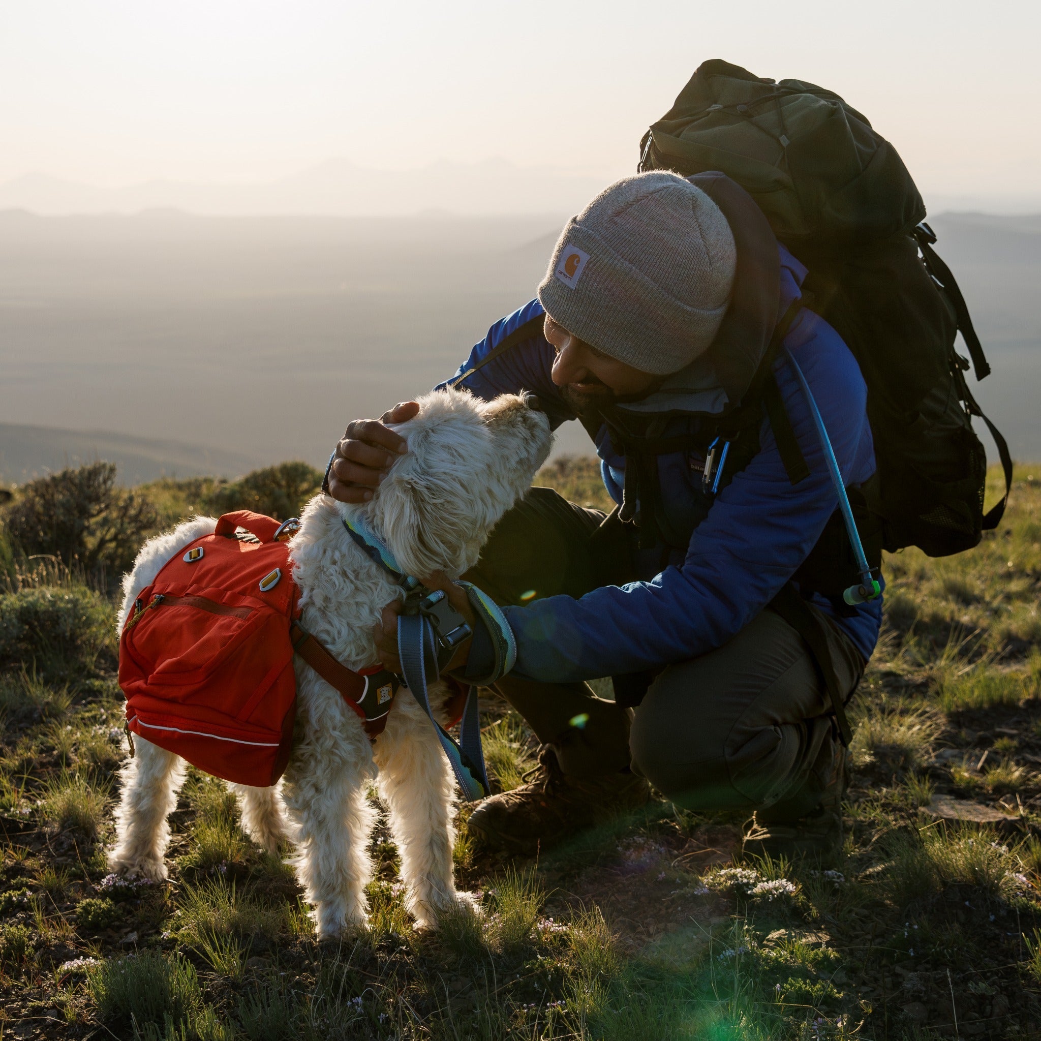 Ruffwear Palisades™ Pack, Hunderucksack mit abnehmbaren Taschen - Woofshack