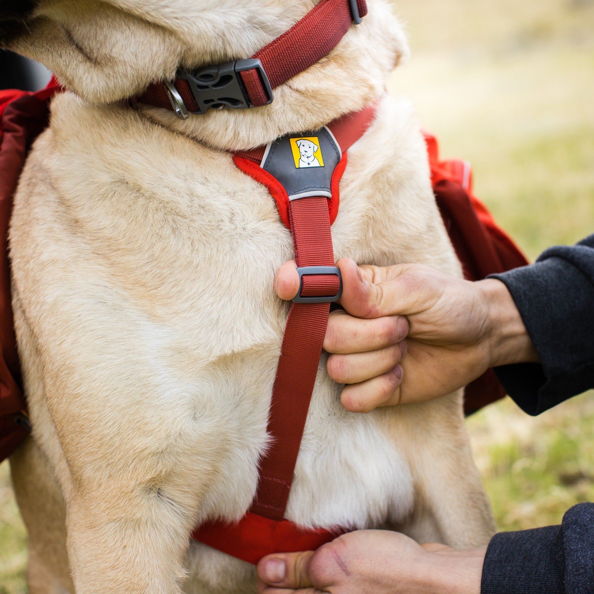 Ruffwear Palisades™ Pack, Hunderucksack mit abnehmbaren Taschen - Woofshack