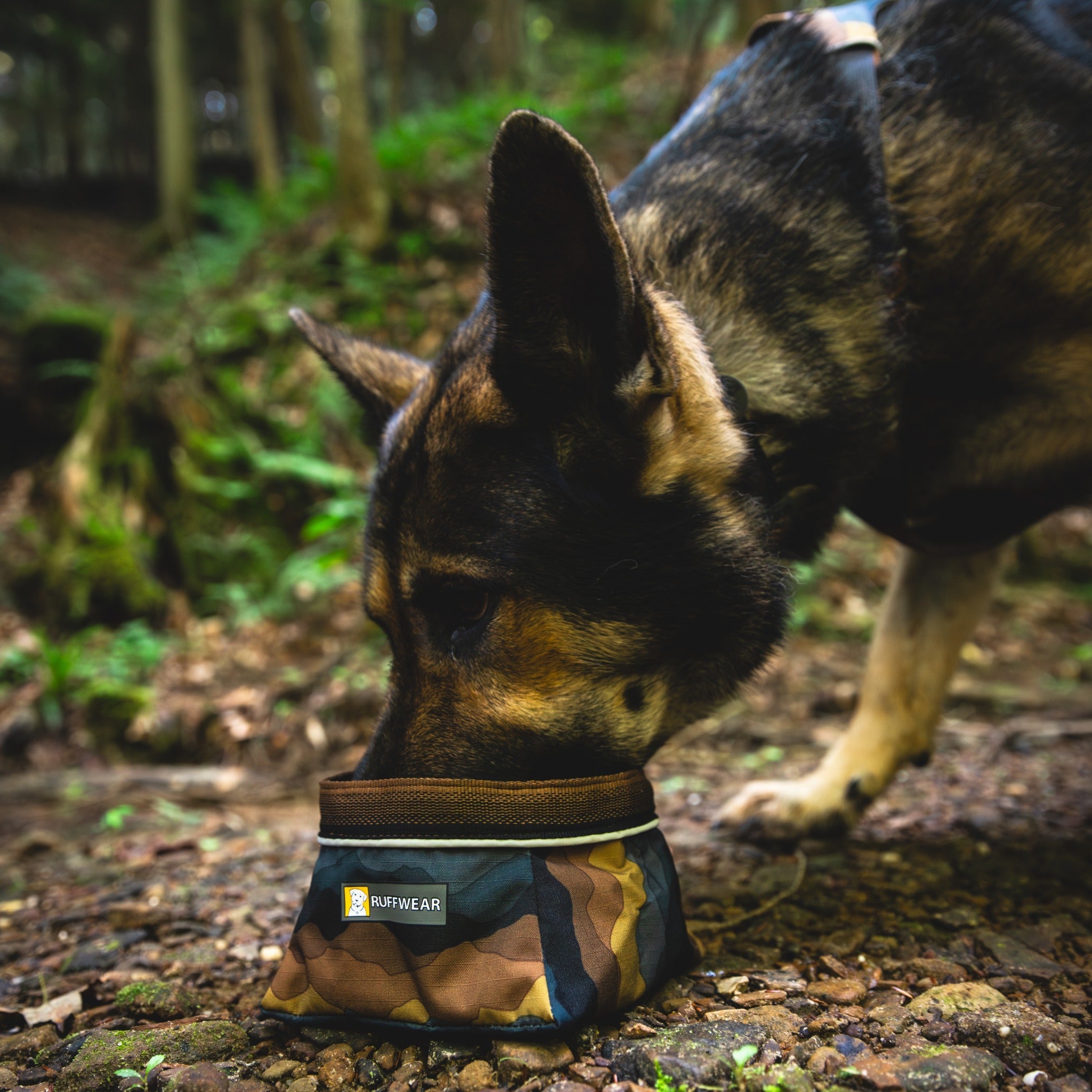 Ruffwear Quencher, Hundenapf - Woofshack