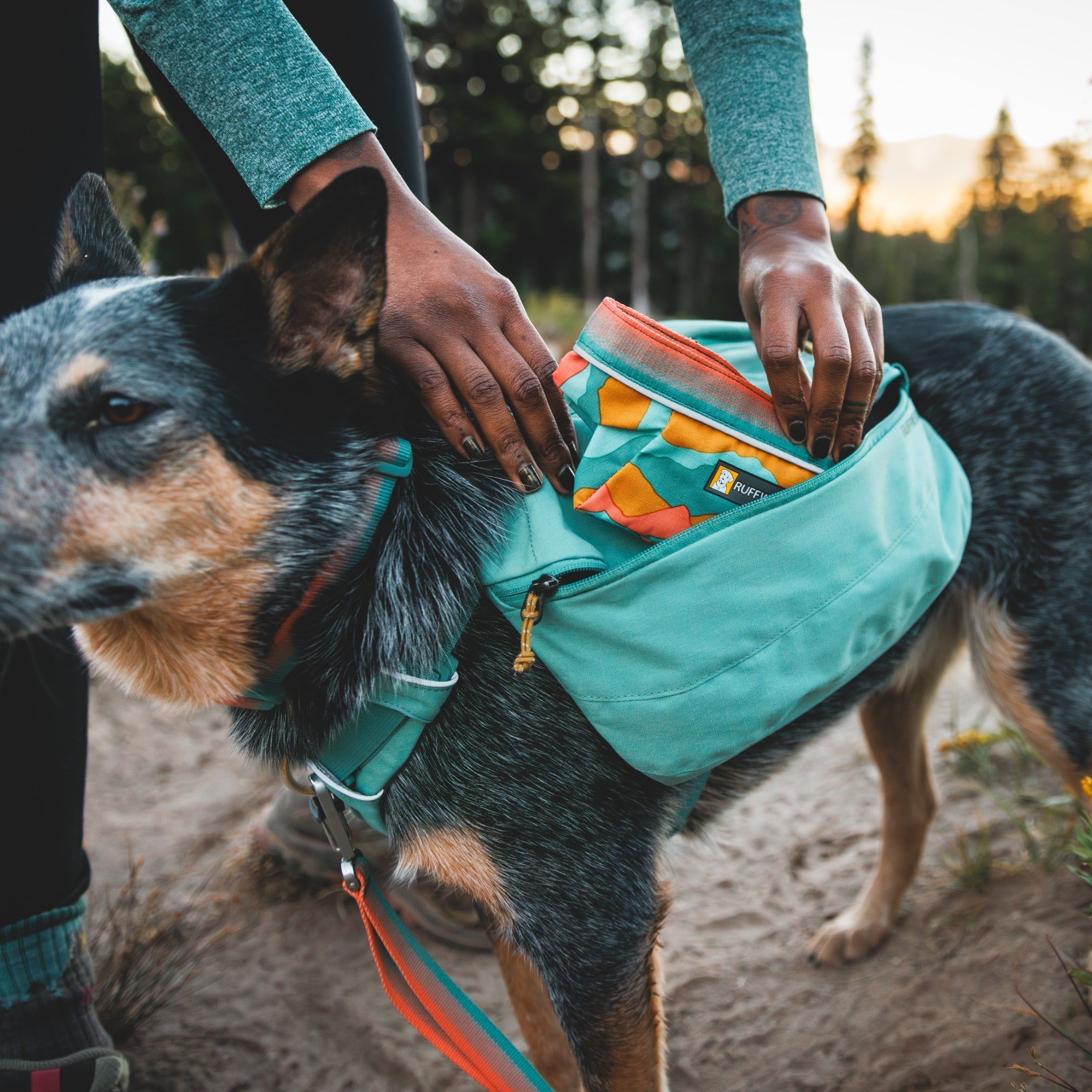 Ruffwear Quencher, Hundenapf - Woofshack