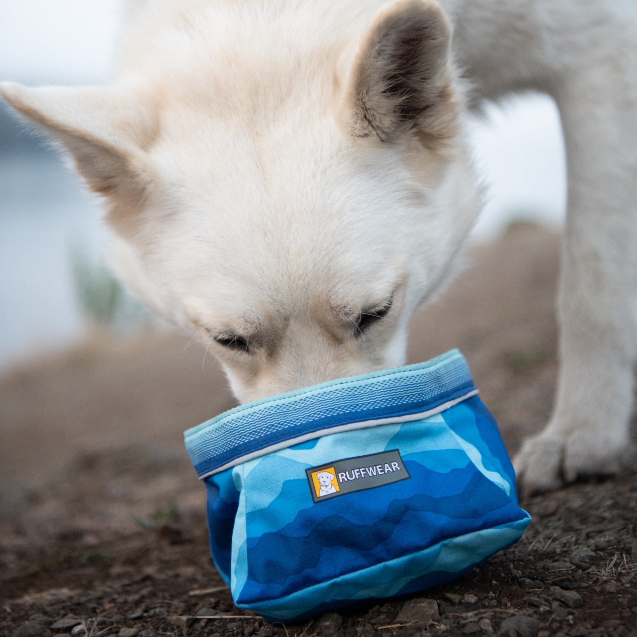 Ruffwear Quencher, Hundenapf - Woofshack