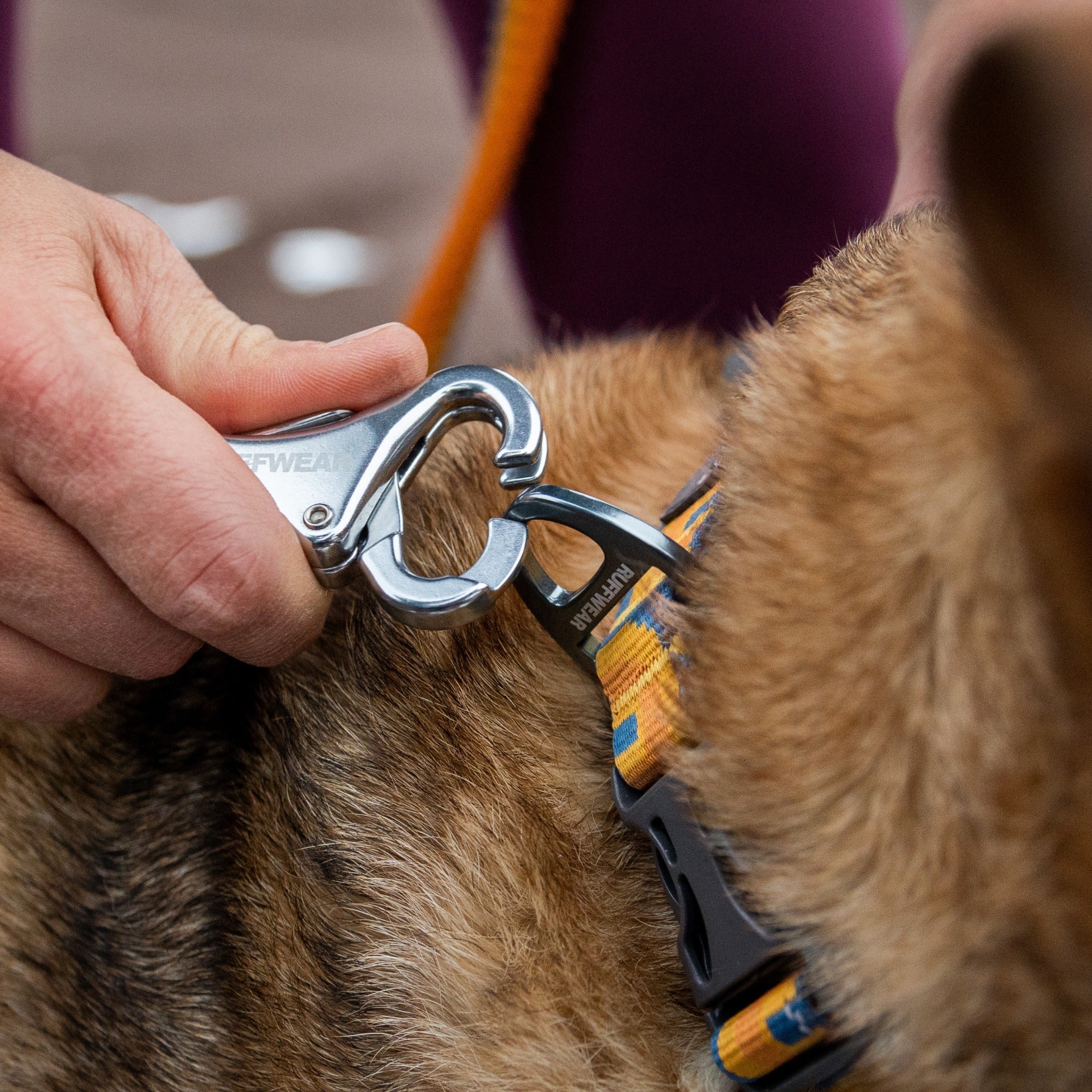 Ruffwear Roamer™ Leash, Hands Free Hunde Joggingleine - Woofshack