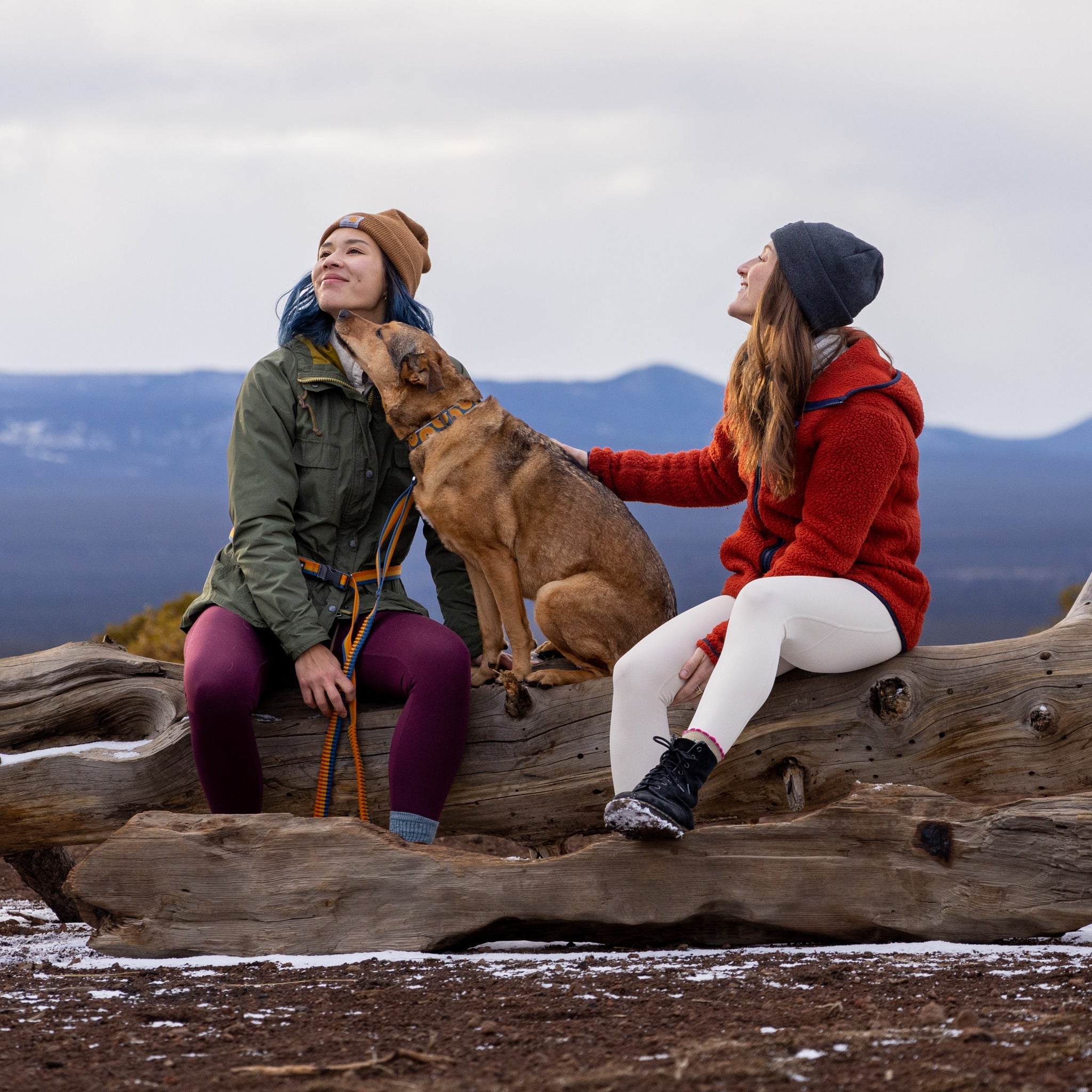 Ruffwear Roamer™ Leash, Hands Free Hunde Joggingleine - Woofshack
