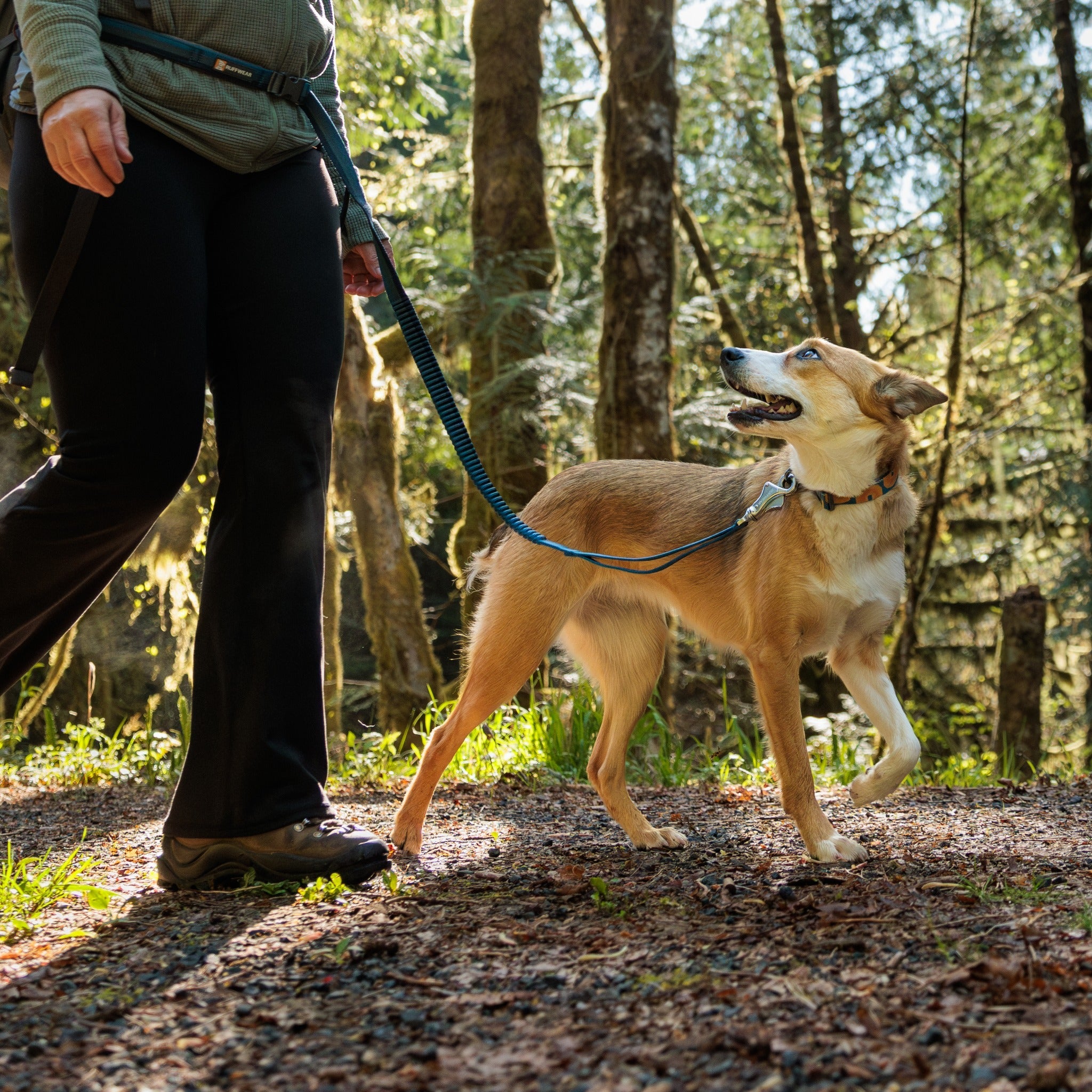 Ruffwear Roamer™ Leash, Hands Free Hunde Joggingleine - Woofshack
