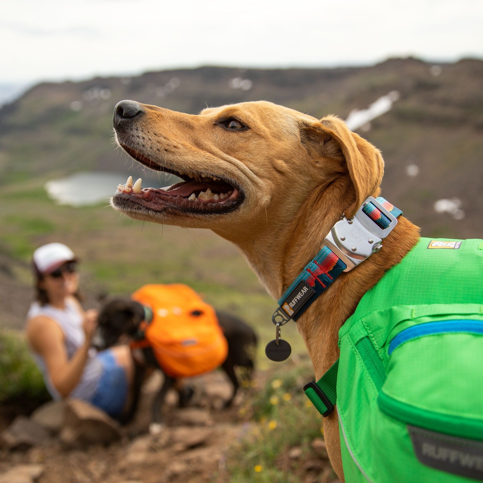 Ruffwear Top Rope™ Collar, Hundehalsband mit Schnellverschluss - Woofshack