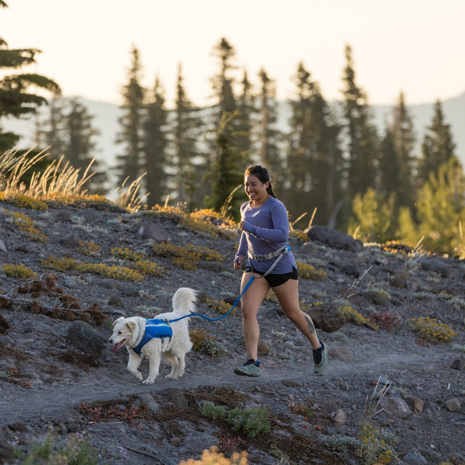 Ruffwear Trail Runner Belt, Laufgürtel - Woofshack