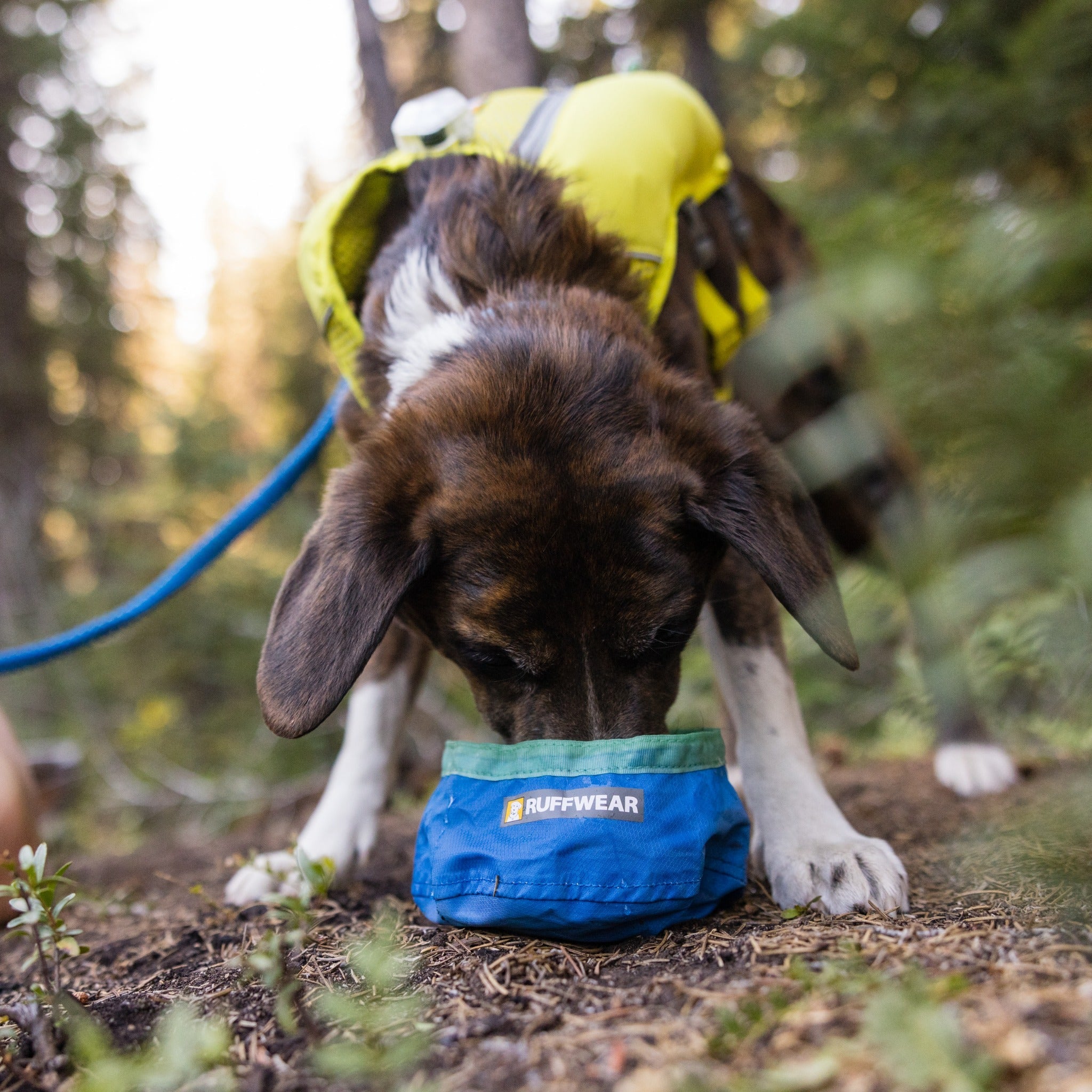 Ruffwear Trail Runner Bowl, Hundenapf - Woofshack