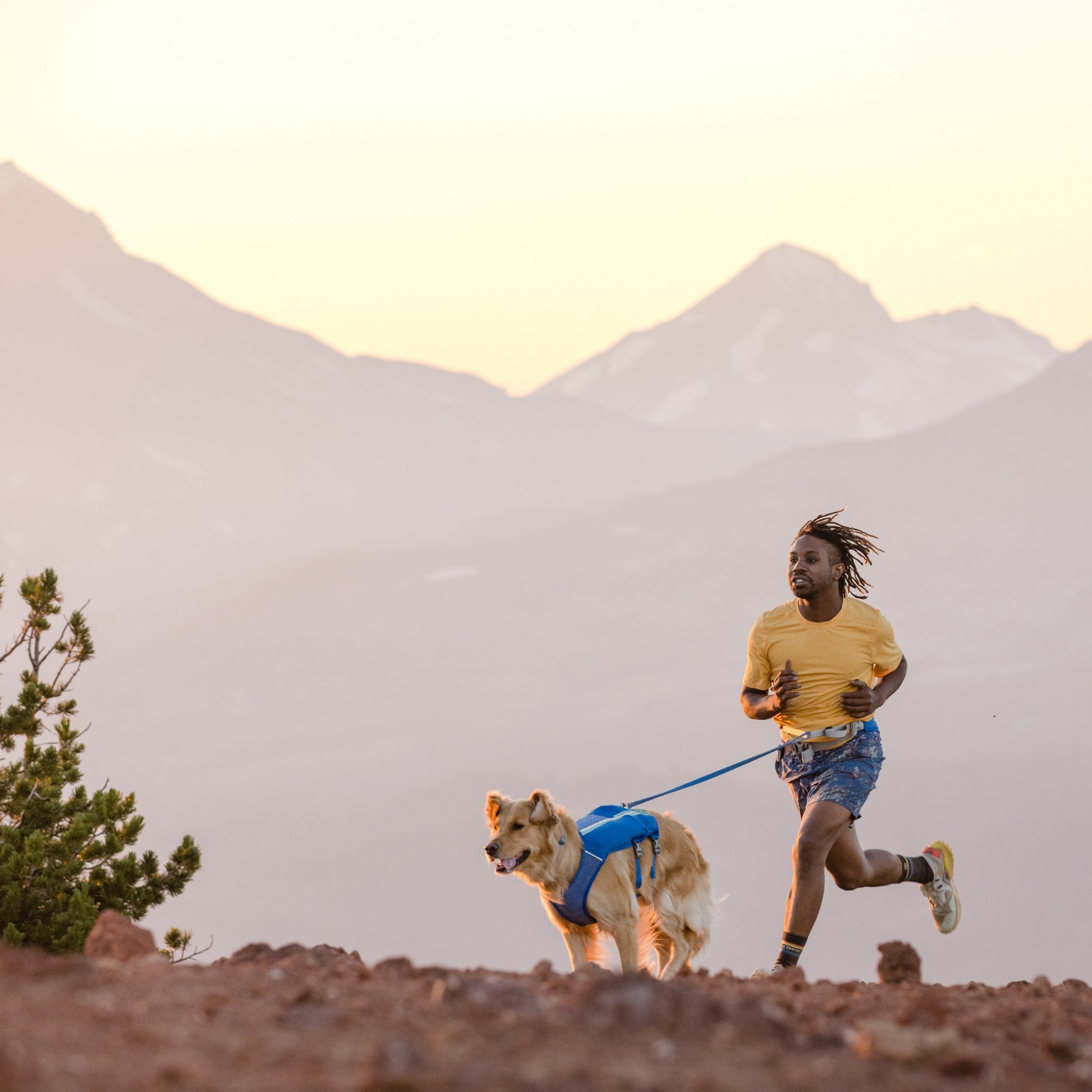 Ruffwear Trail Runner Leash, Hundeleine - Woofshack