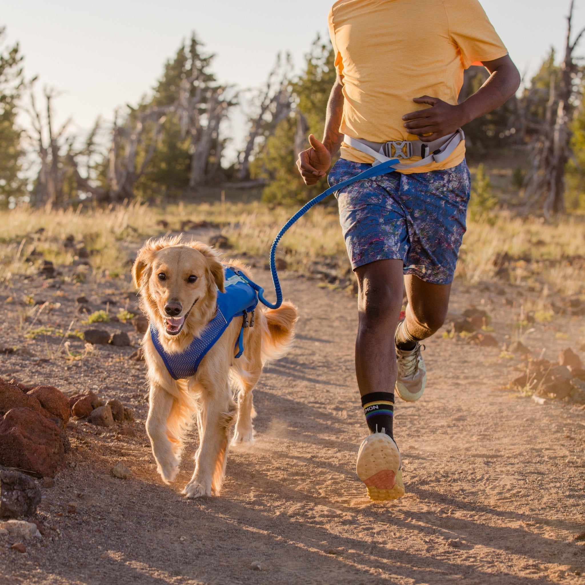 Ruffwear Trail Runner Leash, Hundeleine - Woofshack