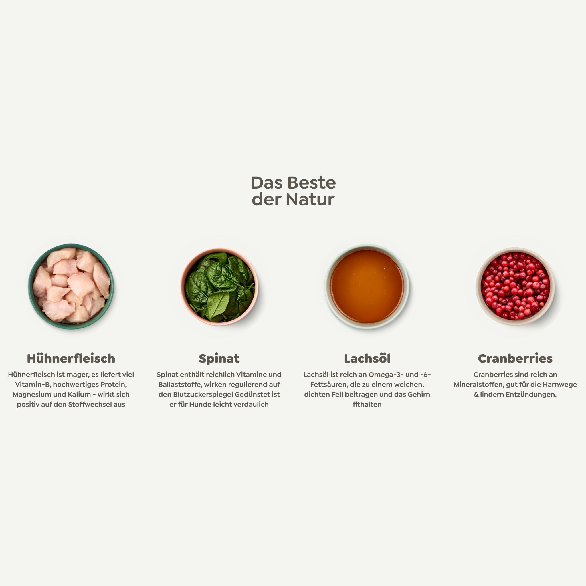 WOW Adult Hundetrockenfutter - Huhn, Spinat & Cranberries - Woofshack