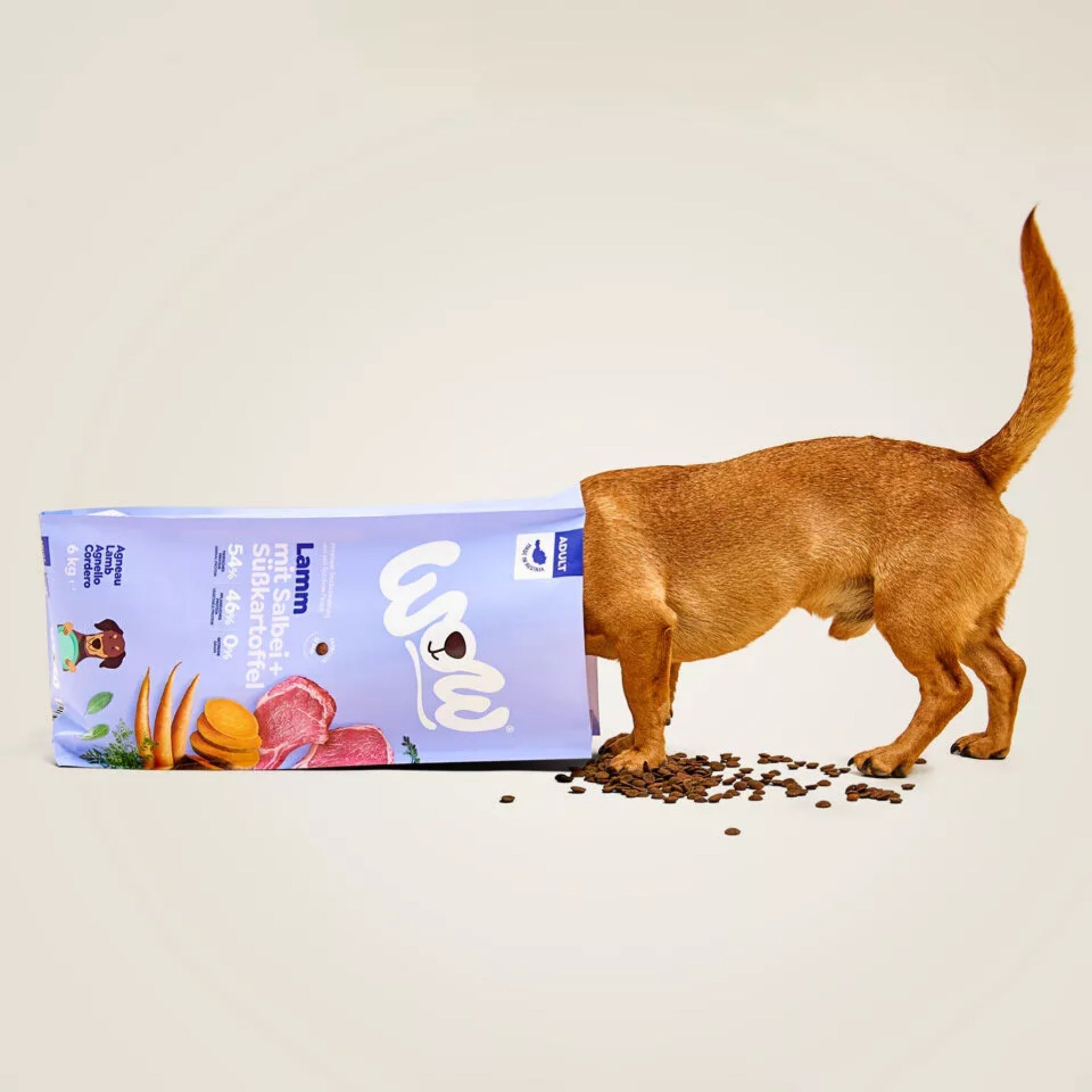 WOW Adult Hundetrockenfutter - Lamm, Salbei & Süßkartoffel - Woofshack