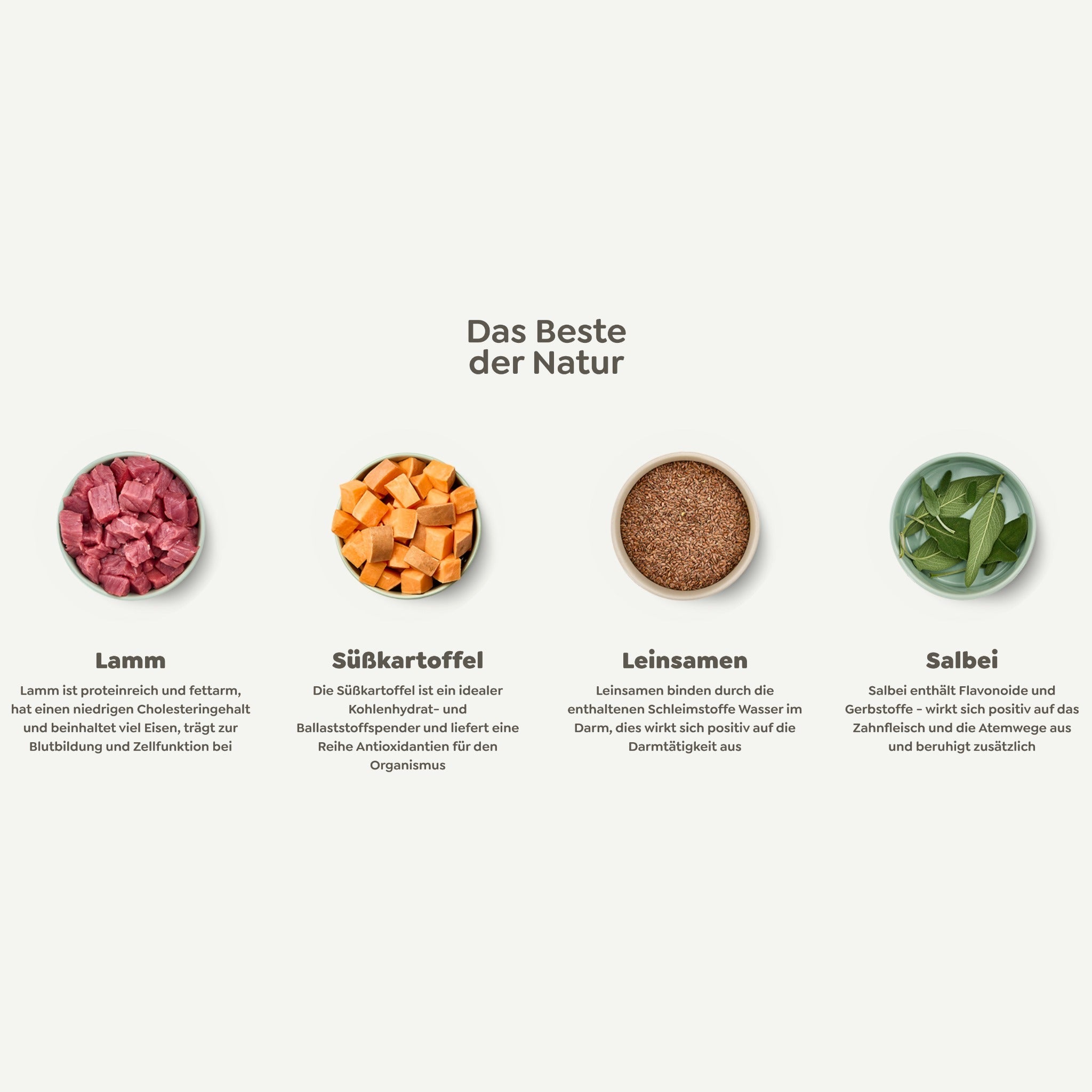 WOW Adult Hundetrockenfutter - Lamm, Salbei & Süßkartoffel - Woofshack