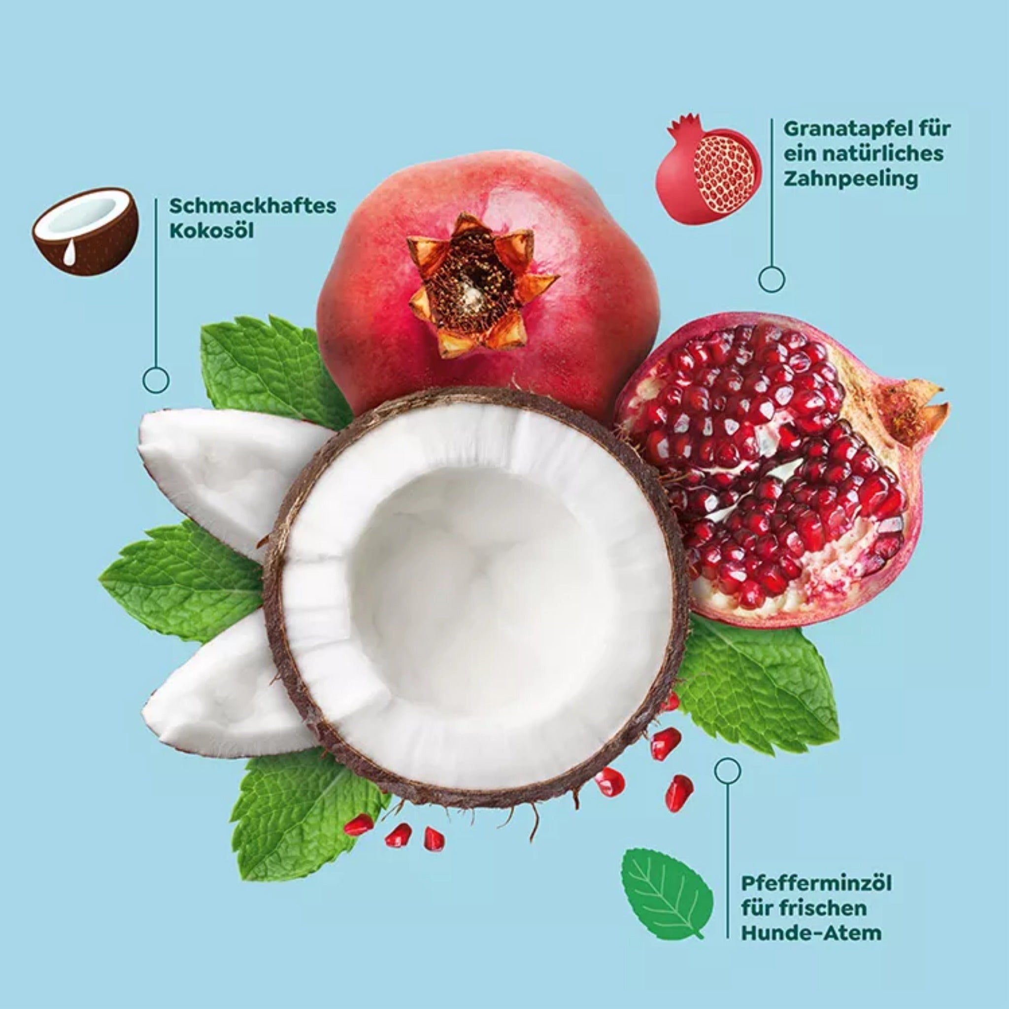 WOW Natural Dentals - Zahnpflege Hundesnack - Woofshack