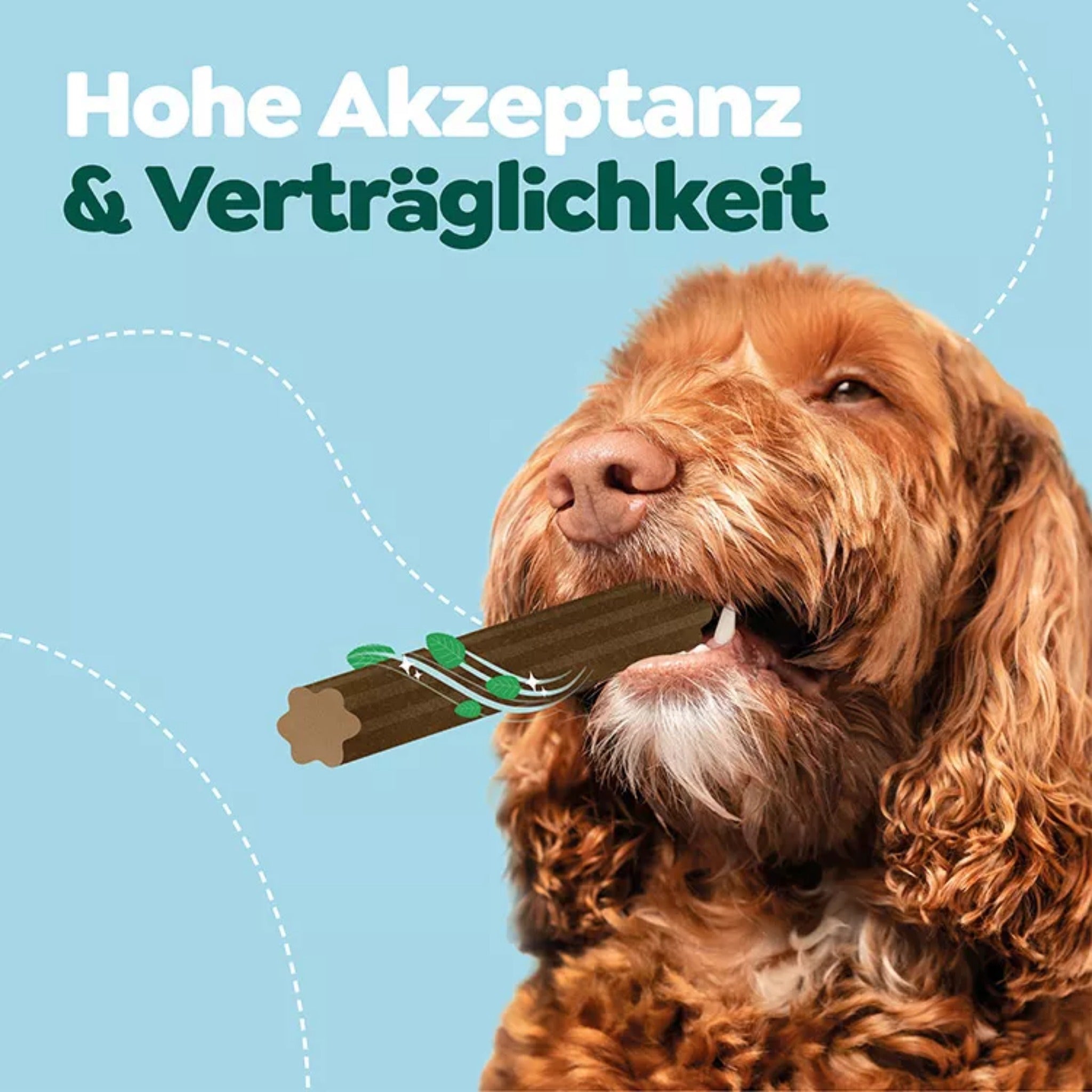 WOW Natural Dentals - Zahnpflege Hundesnack - Woofshack