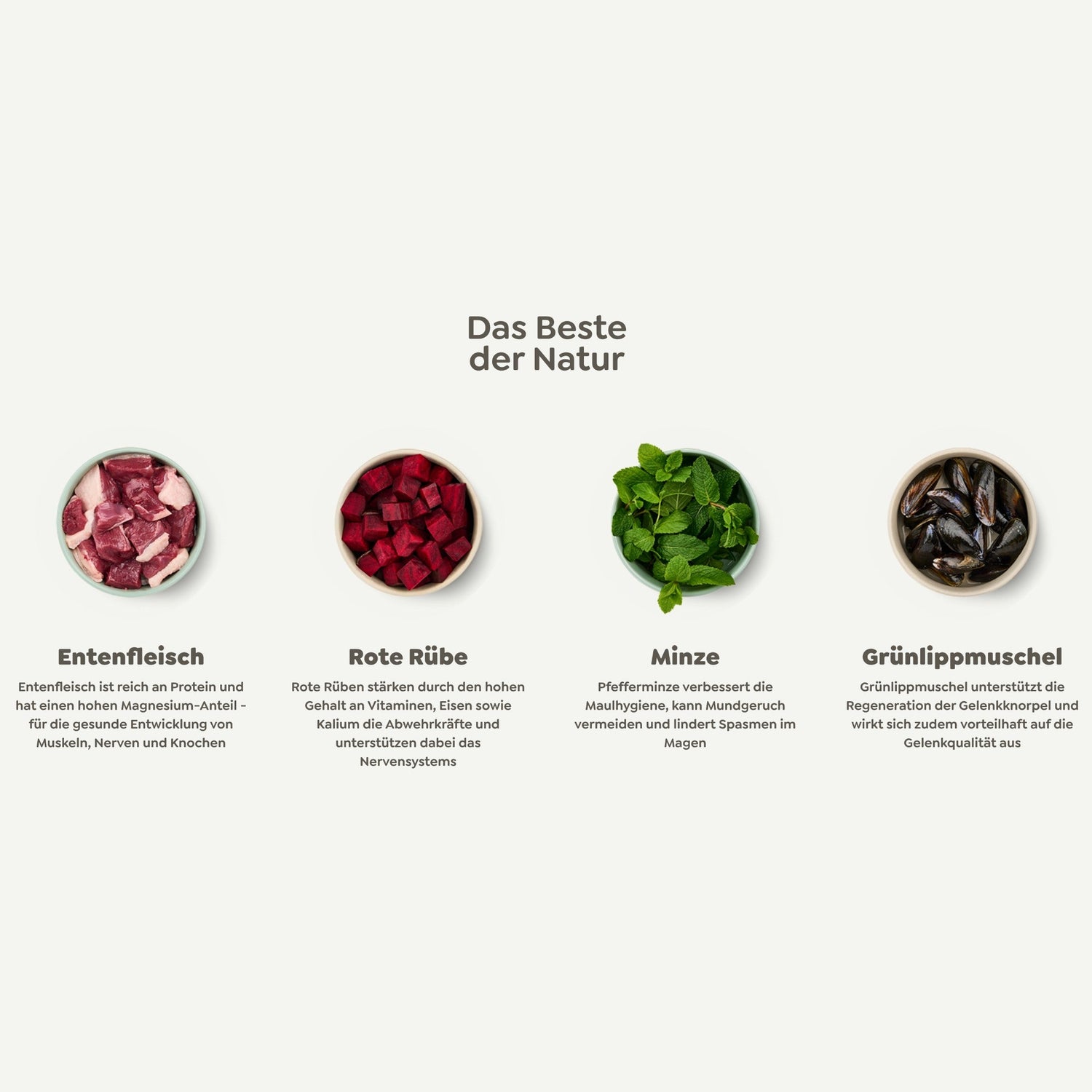 WOW Senior Hundetrockenfutter - Ente, Minze & Rote Rübe - Woofshack