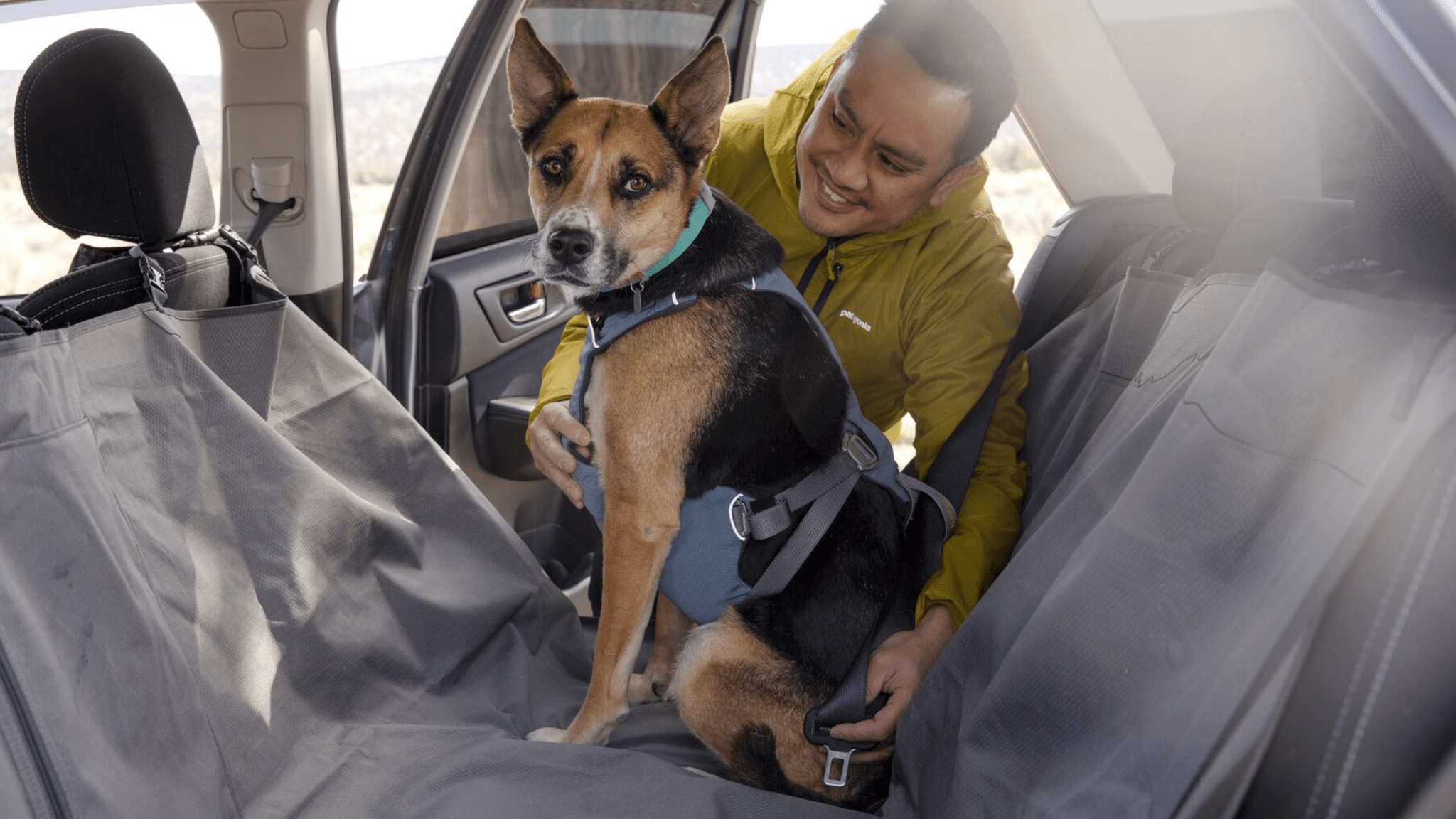 Hund im Auto richtig sichern: Hundebox, Autogeschirr oder Trenngitter? - Woofshack