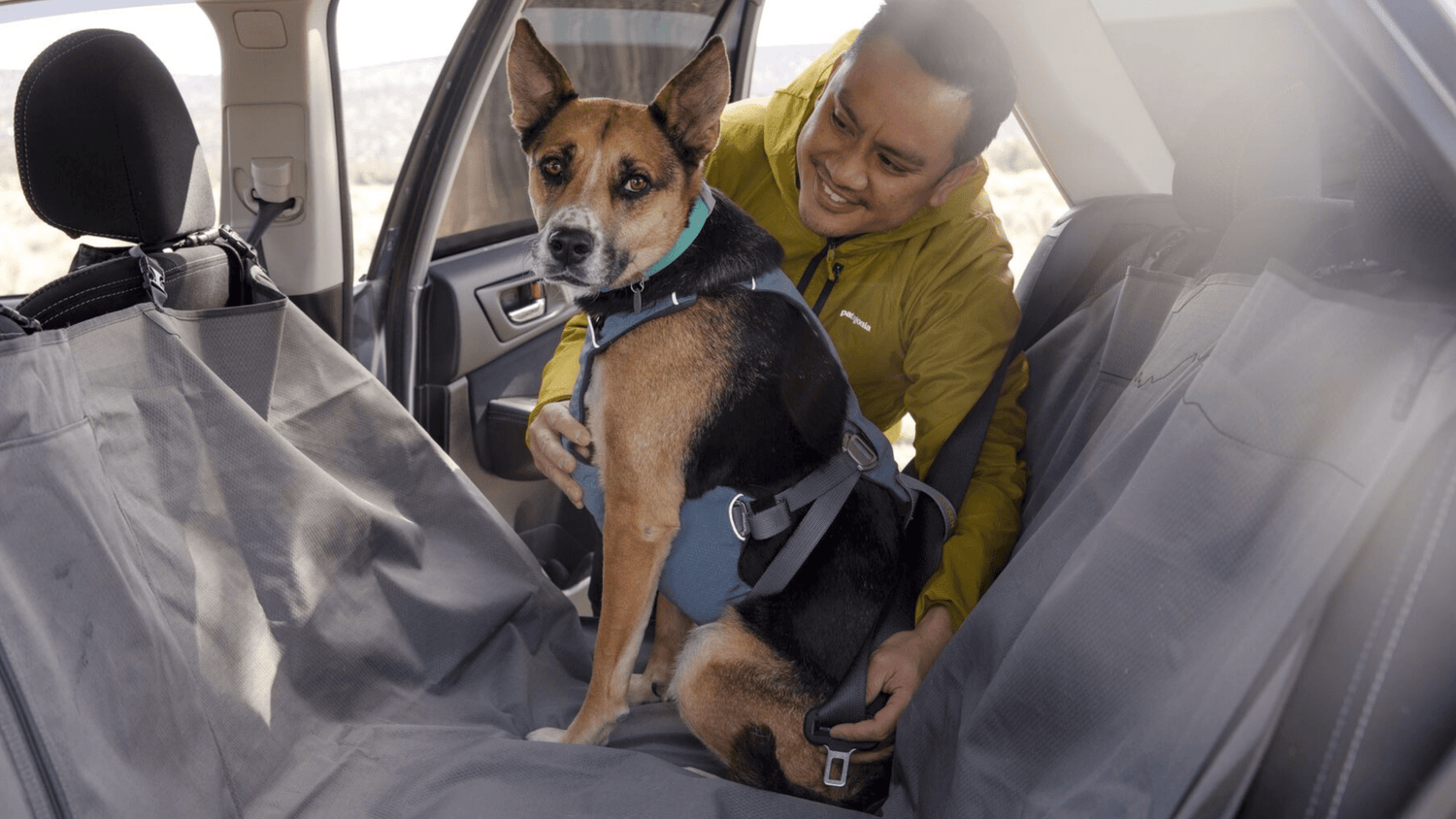 Hund im Auto richtig sichern: Hundebox, Autogeschirr oder Trenngitter? - Woofshack