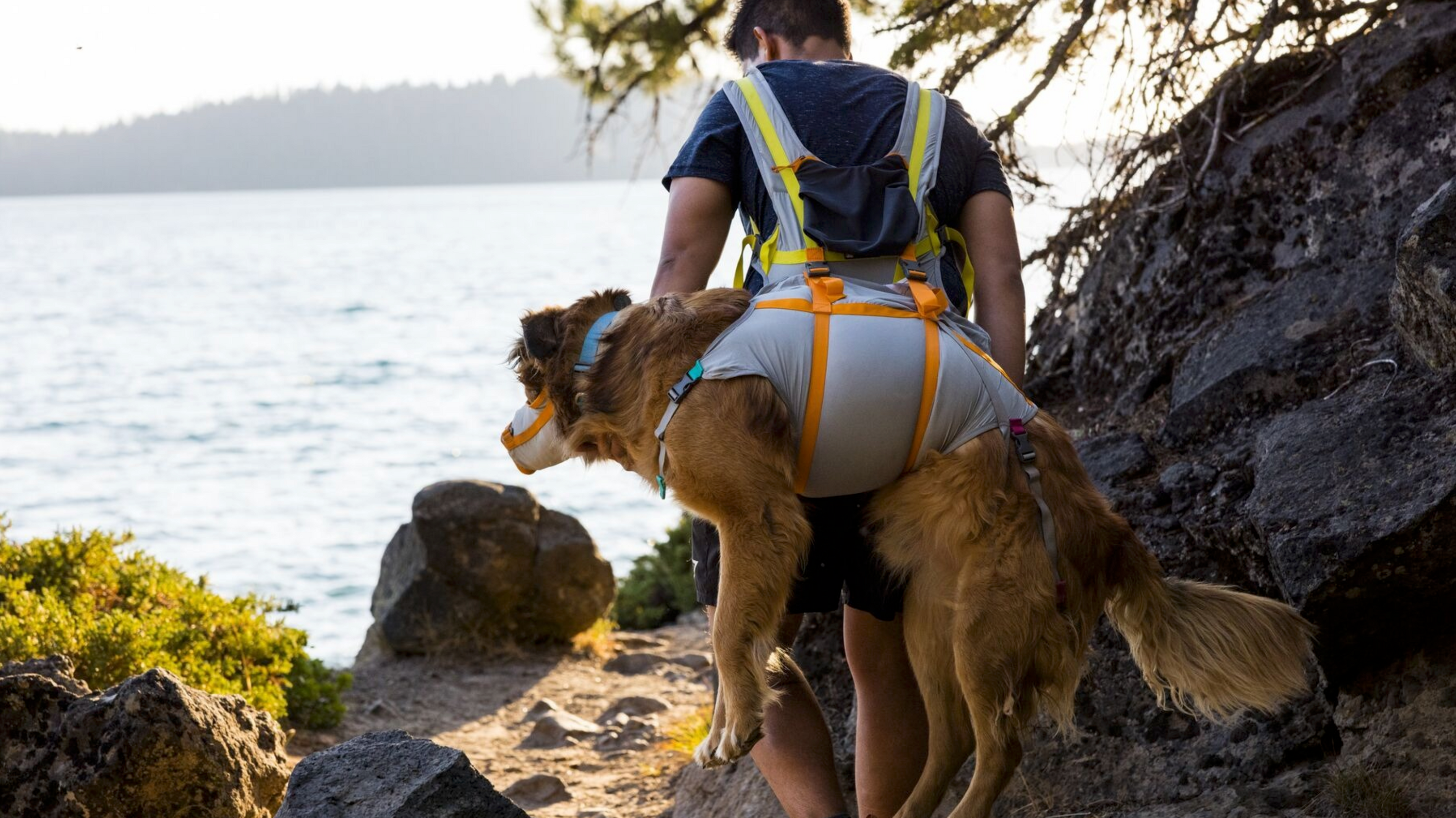 Hund im Ruffwear BackTrak Evakuierungsset beim Wandern