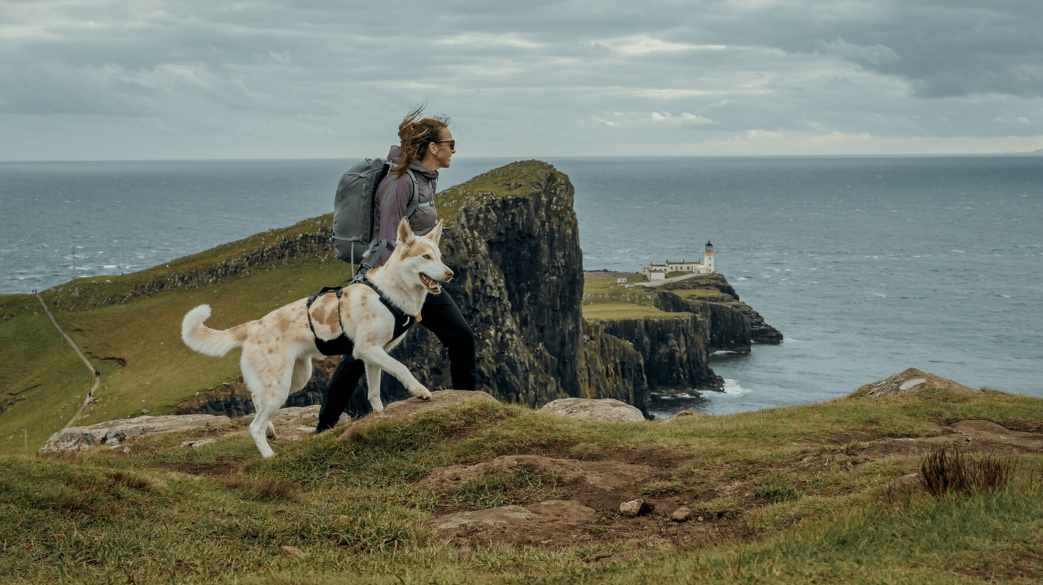 Hundegeschirr zum Wandern: Welches Geschirr ist das richtige für meinen Hund? - Woofshack