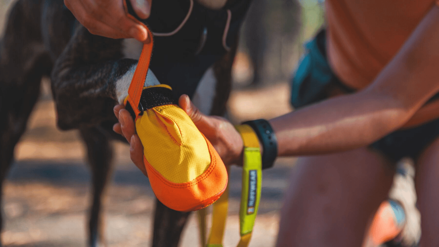 🥾 HUNDESCHUHE BEIM WANDERN: WANN BRAUCHT MEIN HUND PFOTENSCHUTZ? - Woofshack