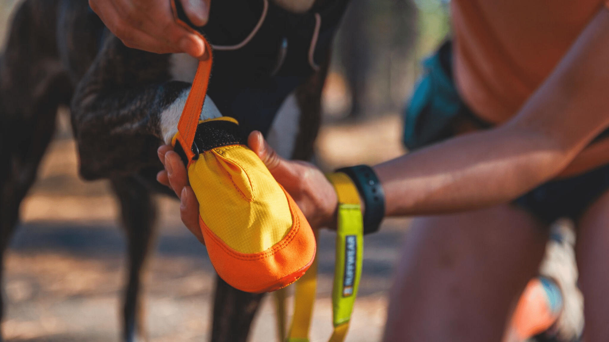 🥾 HUNDESCHUHE BEIM WANDERN: WANN BRAUCHT MEIN HUND PFOTENSCHUTZ? - Woofshack