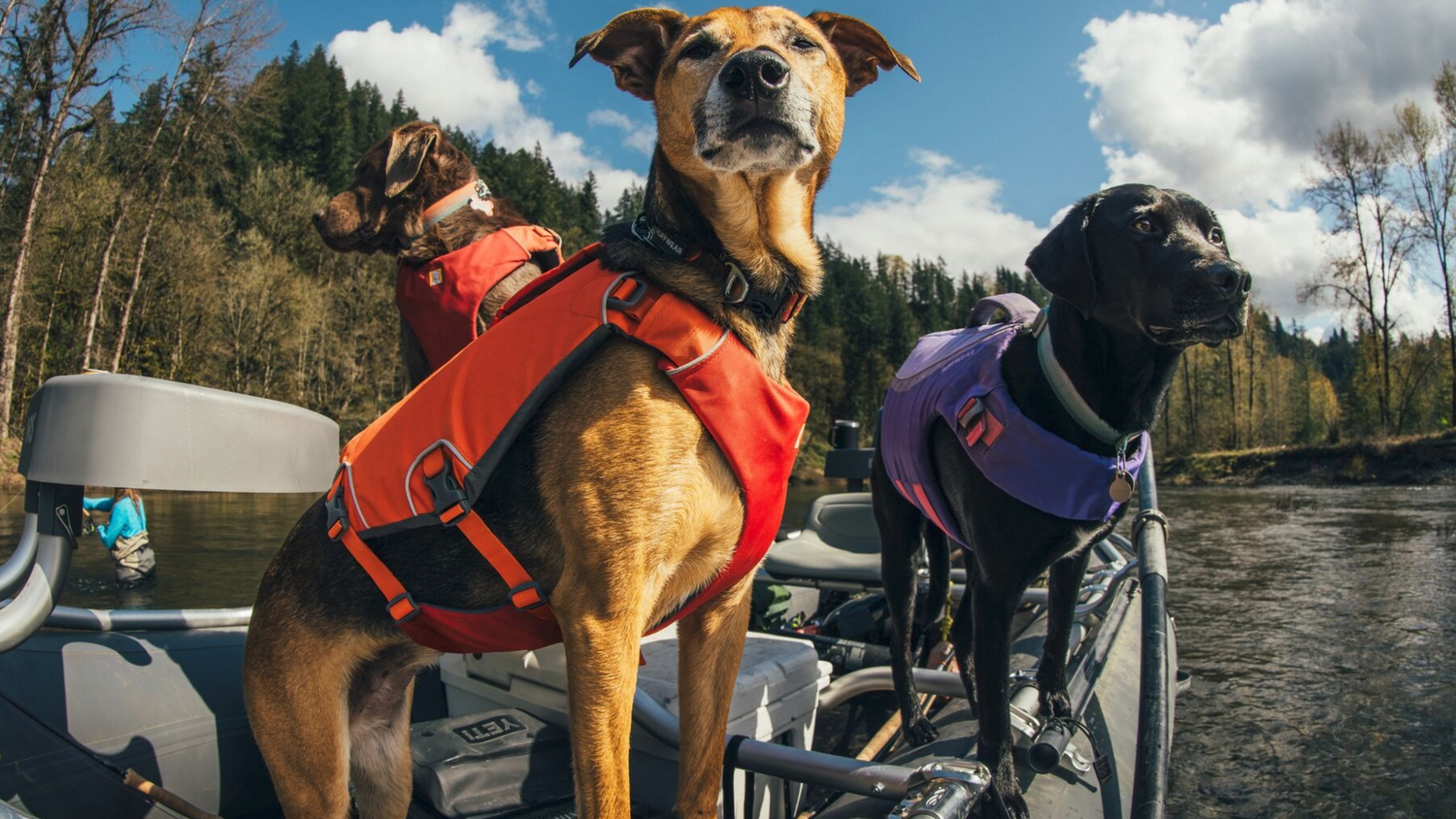 Hundeschwimmwesten für Hunde bei Wasserabenteuern