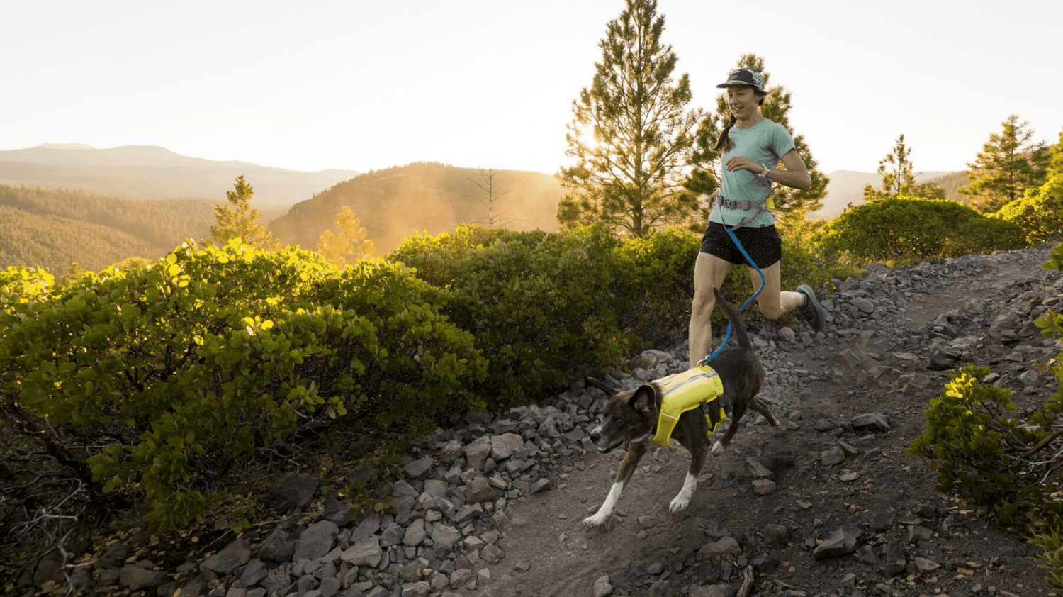 🏃 JOGGEN & TRAILRUNNING MIT HUND: WELCHE AUSRÜSTUNG BRAUCHE ICH? - Woofshack