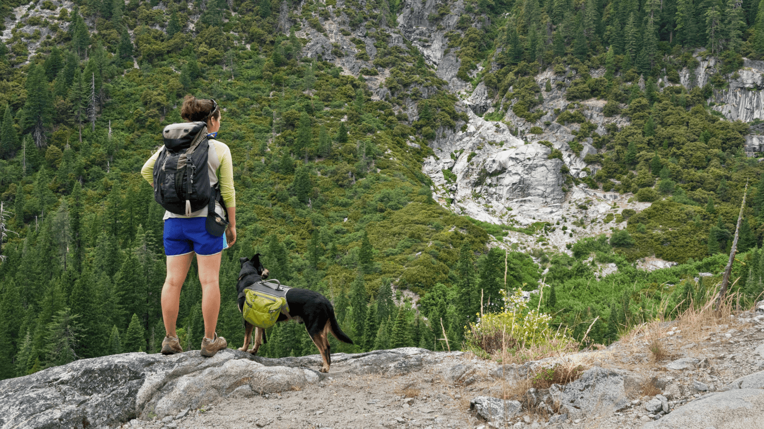Welche Ausrüstung brauche ich zum Wandern mit Hund? Packliste & Tipps - Woofshack
