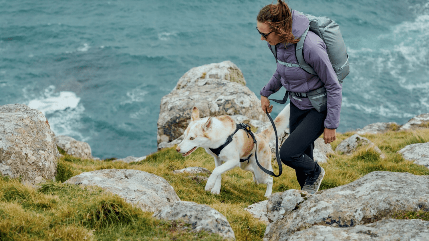 Welche Hundeleine zum Wandern? So findest du die richtige Leine für deinen Hund - Woofshack