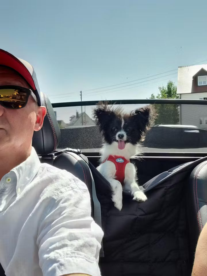 Doctor Bark 2-Türer, Cabrio Autodecke Bewertung