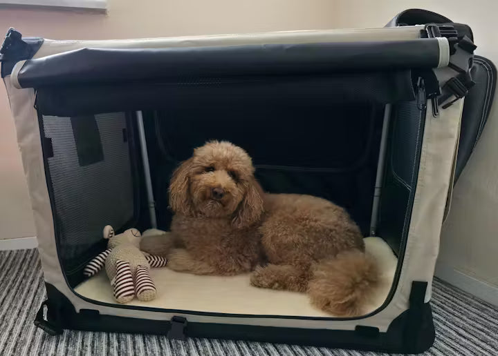 Maelson Soft Kennel Bewertung