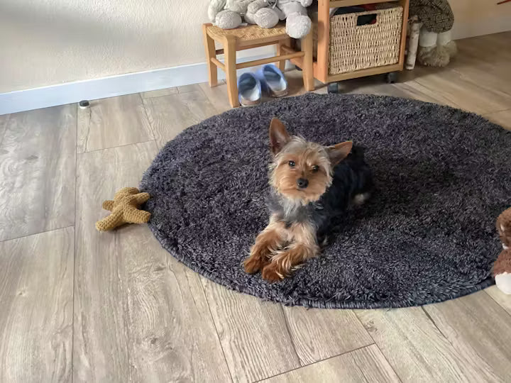 Black Canyon Snackwurst Lamm Bewertung