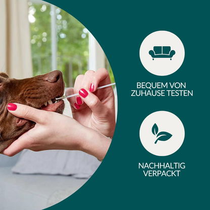 Vetevo DNA-Profil für Hunde – Zertifizierter Abstammungs- &amp; Identitätsnachweis nach ISAG-Standard | Für Zucht &amp; Stammbuchführung