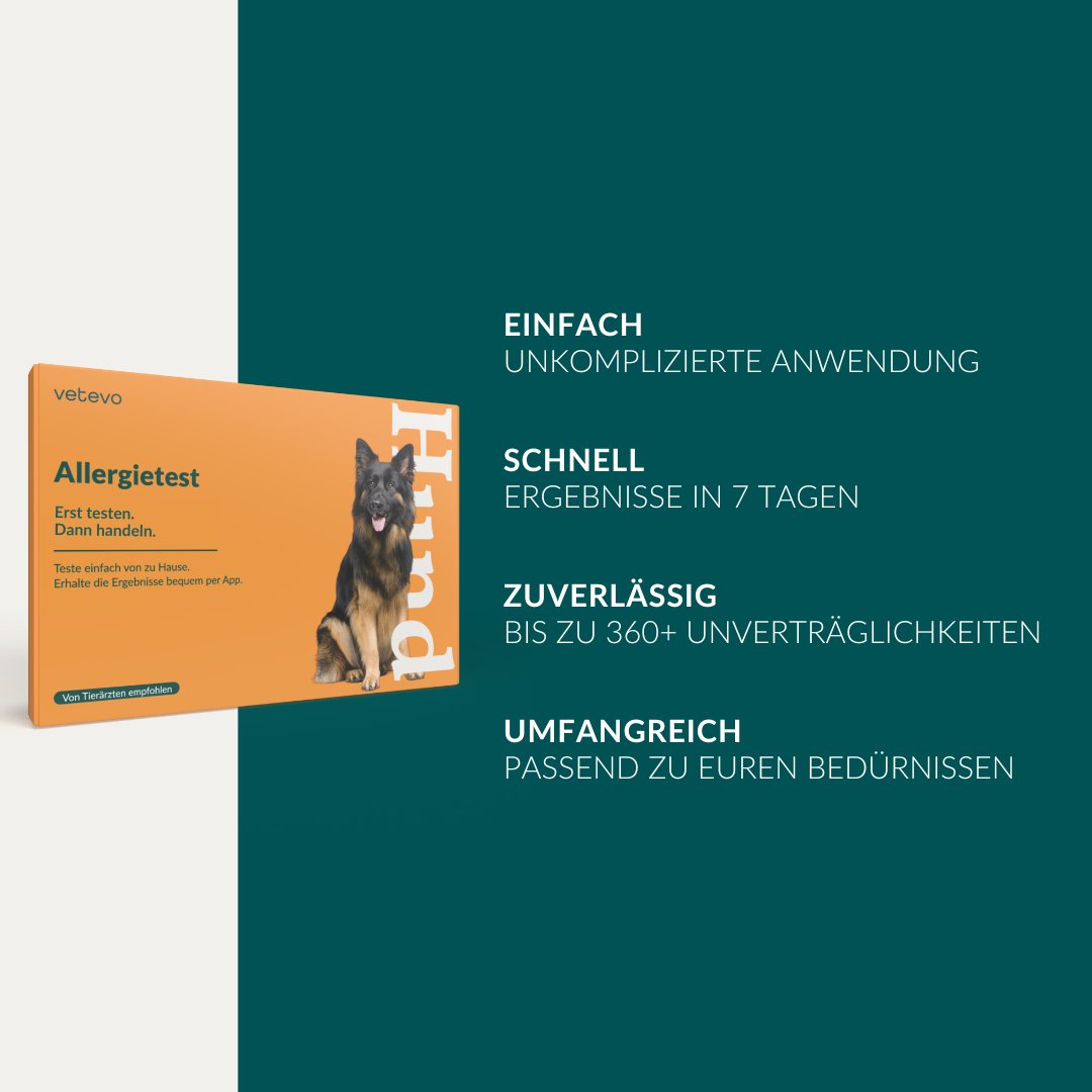 Vetevo Allergietest Plus Hund – 378 Unverträglichkeiten aufdecken &amp; Juckreiz, Durchfall und Pfotenlecken endlich verstehen