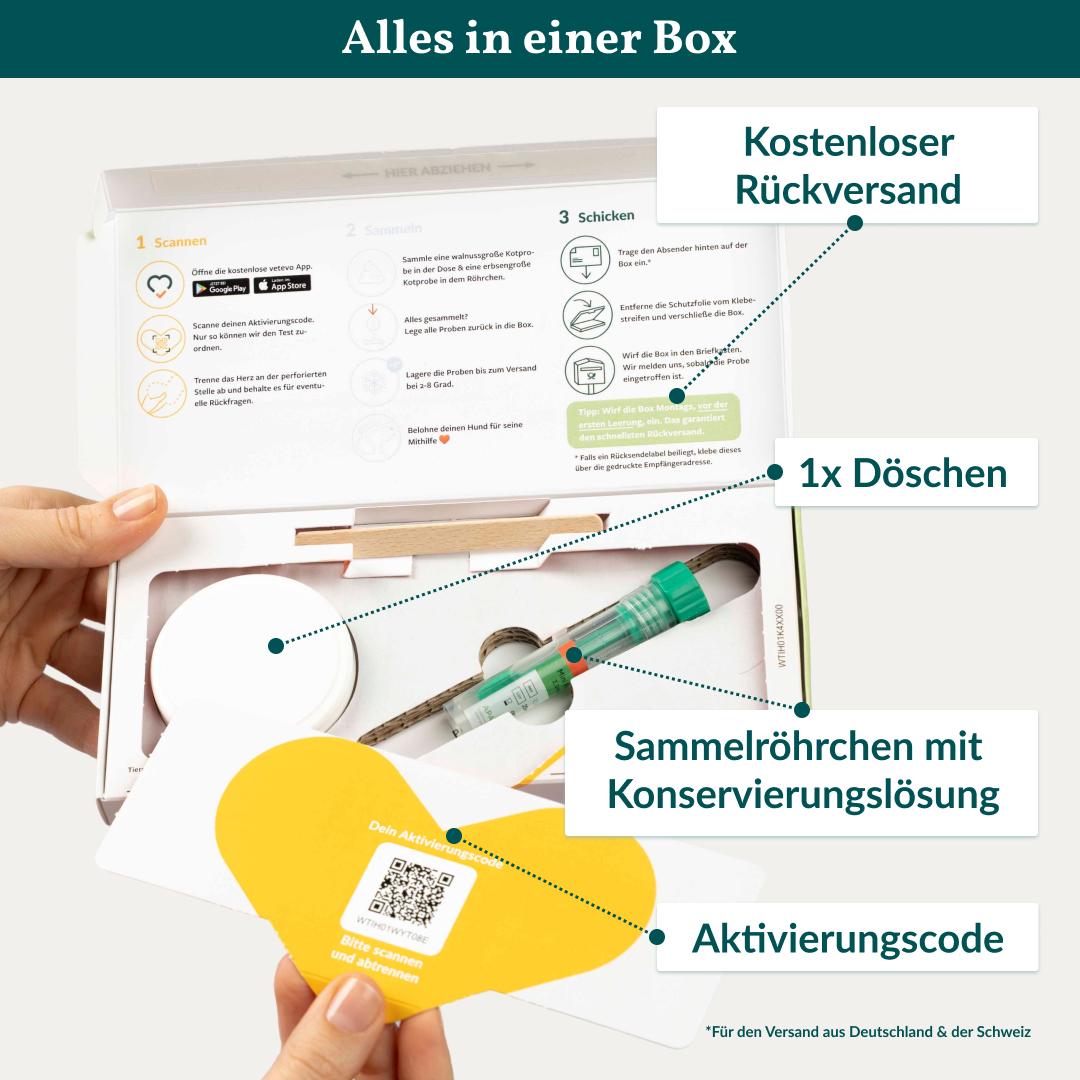 Vetevo Darmflora Test Basic für Hunde – Bakterienprofil, pH-Wert &amp; Futterrückstände analysieren | Bei Durchfall, Hautproblemen, Maulgeruch &amp; Allergien | Ergebnisse in 24h direkt aufs Handy