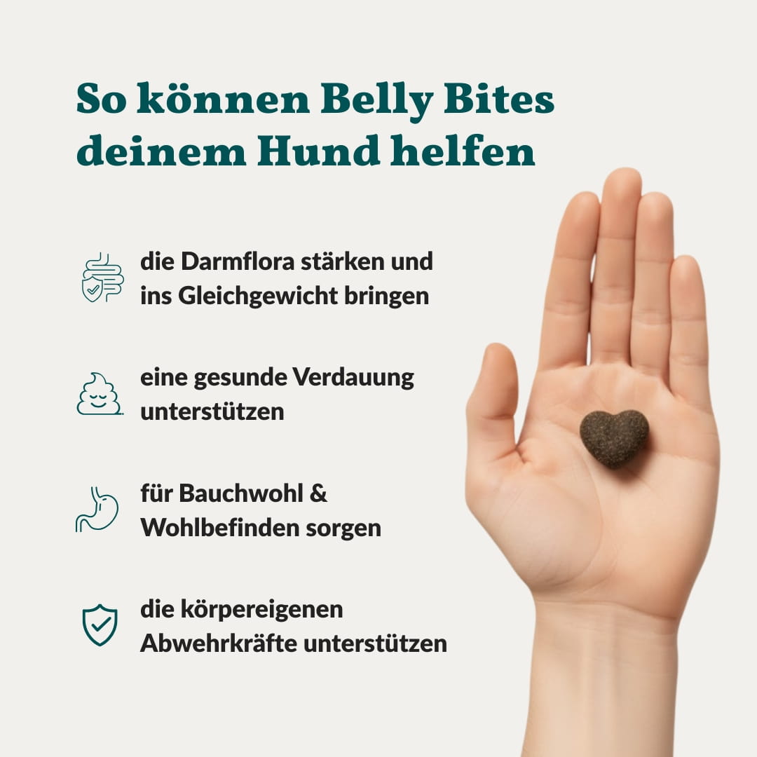 Vetevo Belly Bites 2.0 – Verdauungs-Snacks für Hunde mit Prä-, Pro- &amp; Postbiotika, Kürbis &amp; Algen | Für ein glückliches Hundebäuchlein