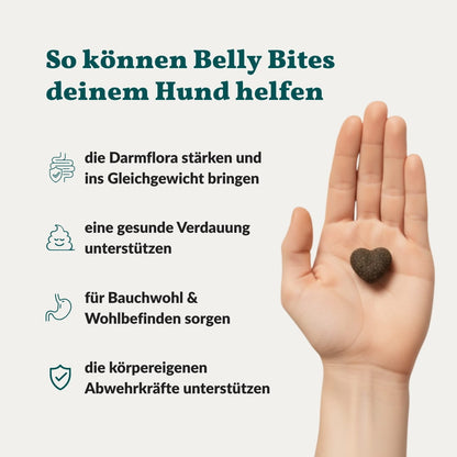 Vetevo Belly Bites 2.0 – Verdauungs-Snacks für Hunde mit Prä-, Pro- &amp; Postbiotika, Kürbis &amp; Algen | Für ein glückliches Hundebäuchlein
