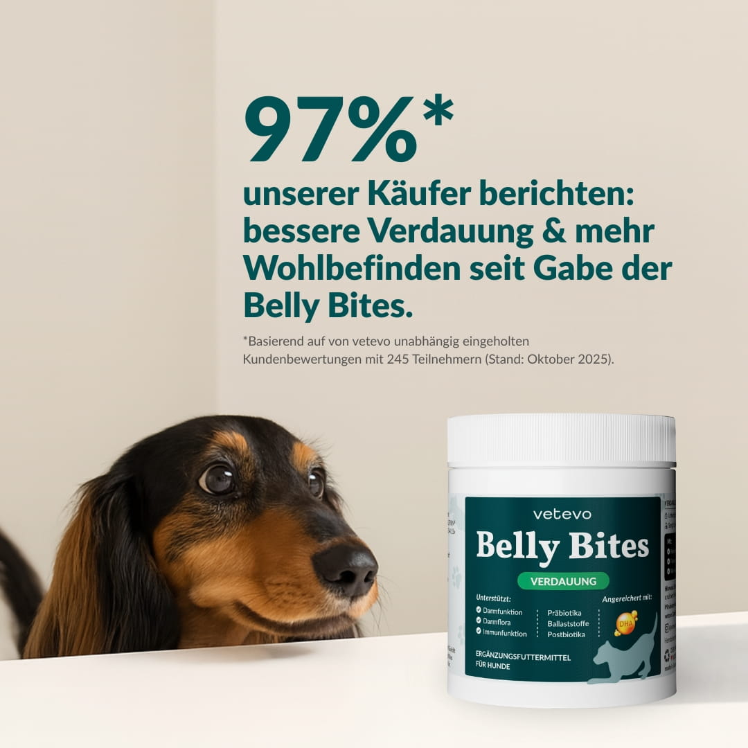 Vetevo Belly Bites 2.0 – Verdauungs-Snacks für Hunde mit Prä-, Pro- &amp; Postbiotika, Kürbis &amp; Algen | Für ein glückliches Hundebäuchlein