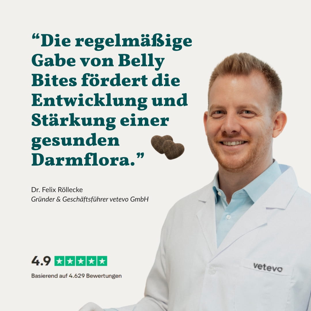 Vetevo Belly Bites 2.0 – Verdauungs-Snacks für Hunde mit Prä-, Pro- &amp; Postbiotika, Kürbis &amp; Algen | Für ein glückliches Hundebäuchlein