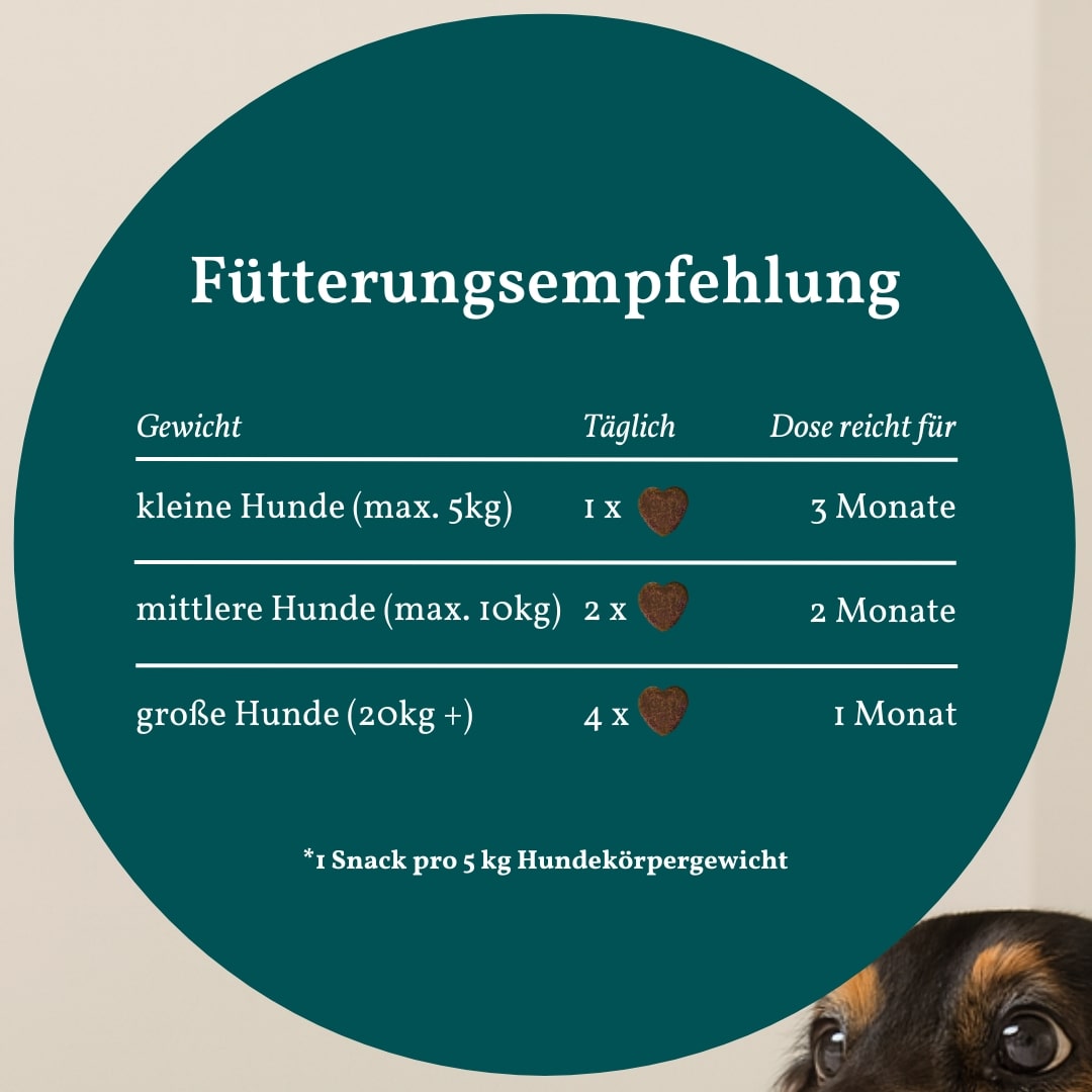 Vetevo Belly Bites 2.0 – Verdauungs-Snacks für Hunde mit Prä-, Pro- &amp; Postbiotika, Kürbis &amp; Algen | Für ein glückliches Hundebäuchlein