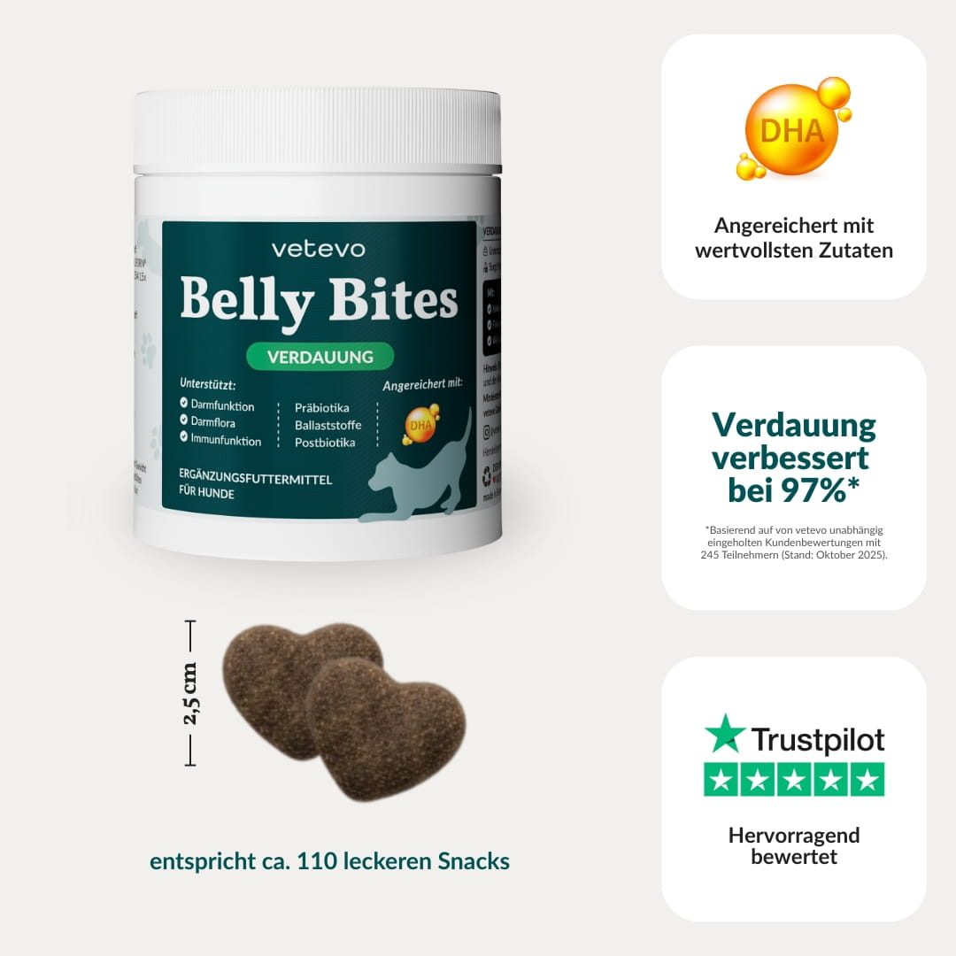 Vetevo Belly Bites 2.0 – Verdauungs-Snacks für Hunde mit Prä-, Pro- &amp; Postbiotika, Kürbis &amp; Algen | Für ein glückliches Hundebäuchlein